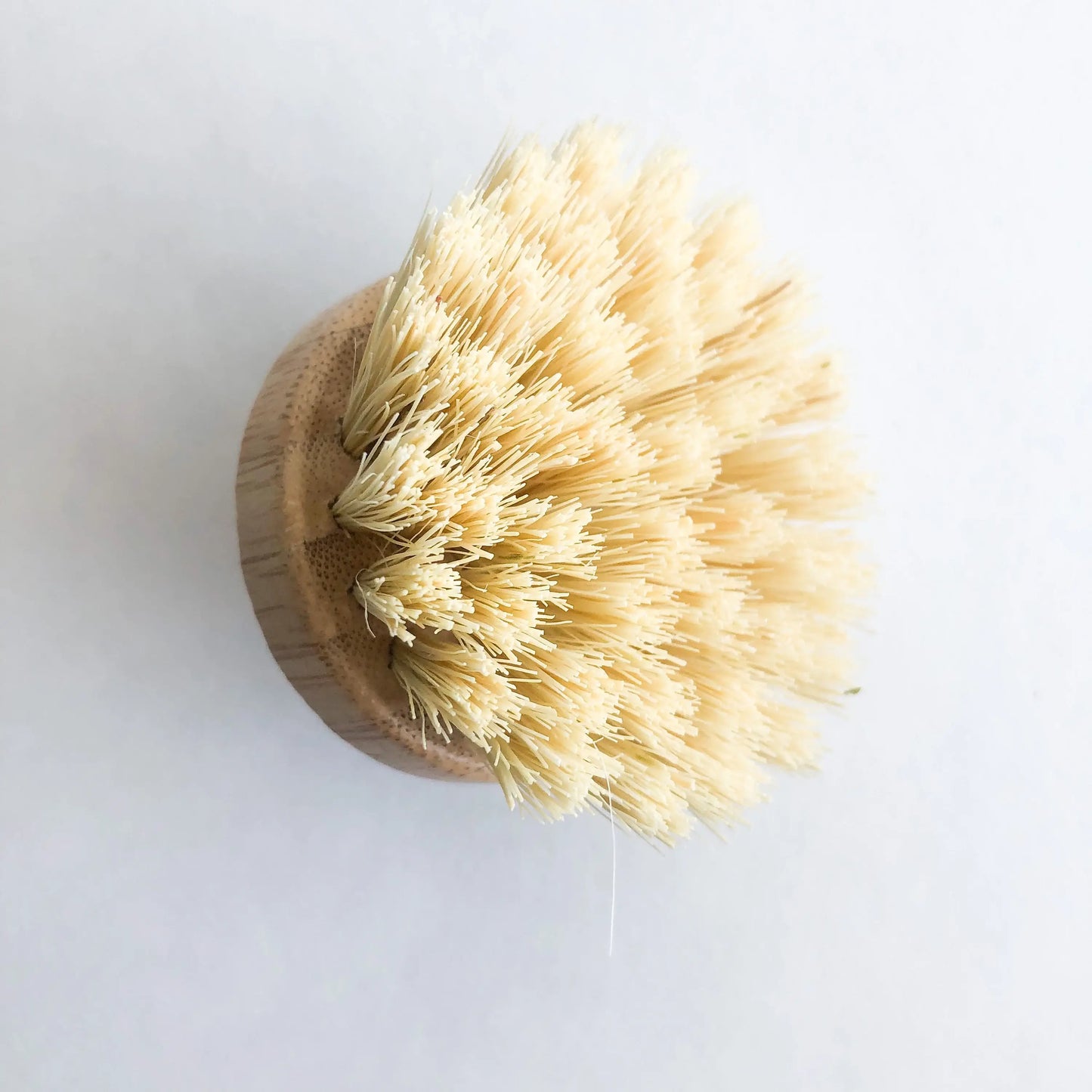 Natural Bamboo Pot & Dish Brush With Replaceable Head - Magnolia Lane co. Home + Garden + Gift