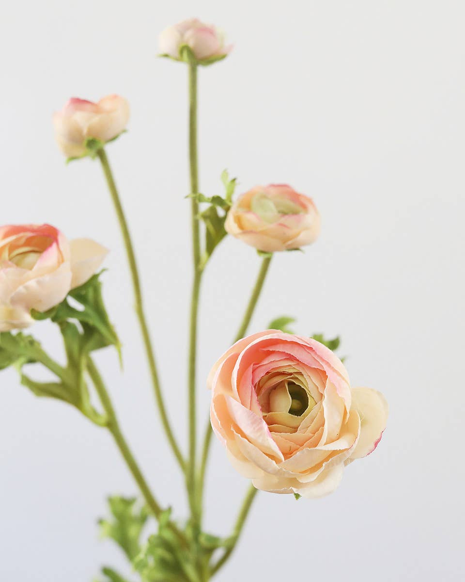 Real Touch Apricot Ranunculus 22”