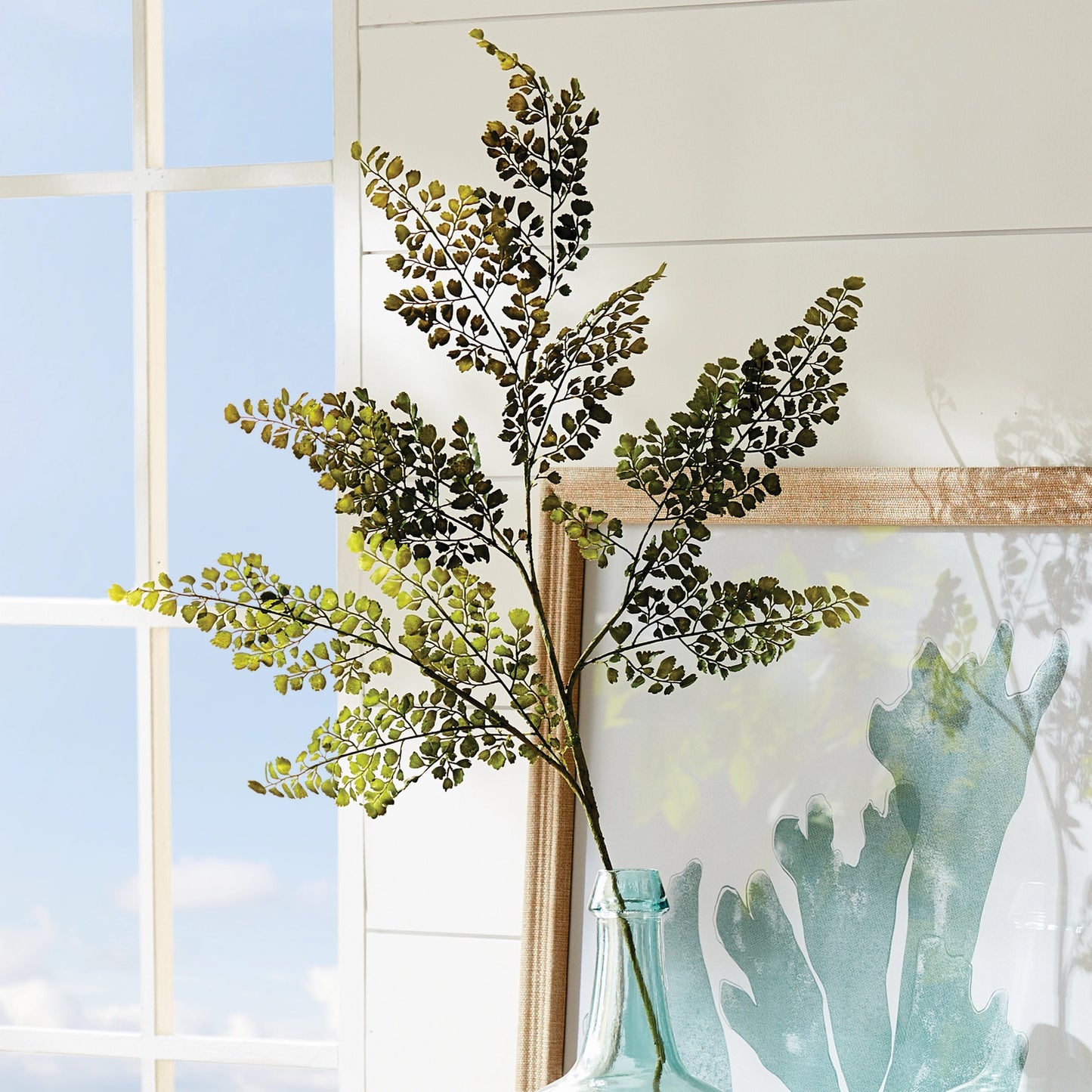 Maidenhair Fern Stem