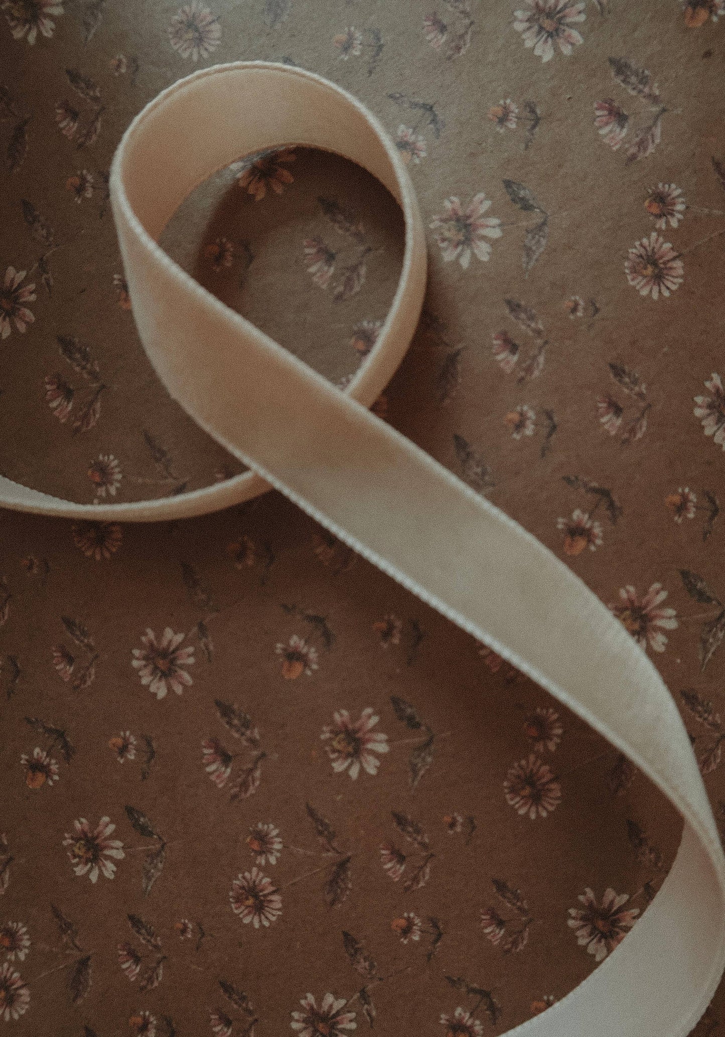 Velvet ribbon BEIGE length 2,5m/width 16mm