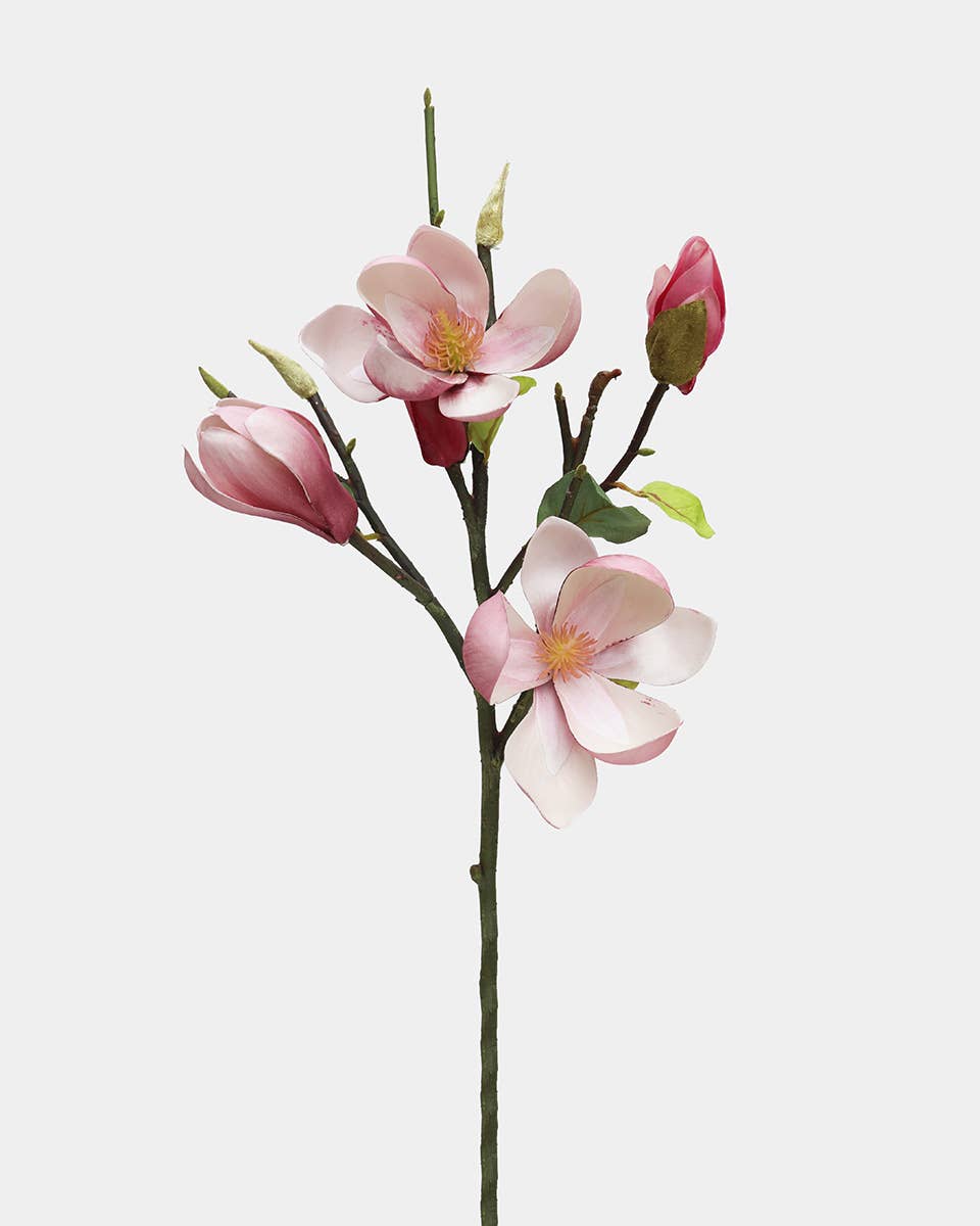 Pink Magnolia Stem 20"