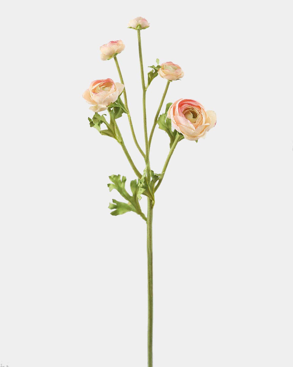 Real Touch Apricot Ranunculus 22”