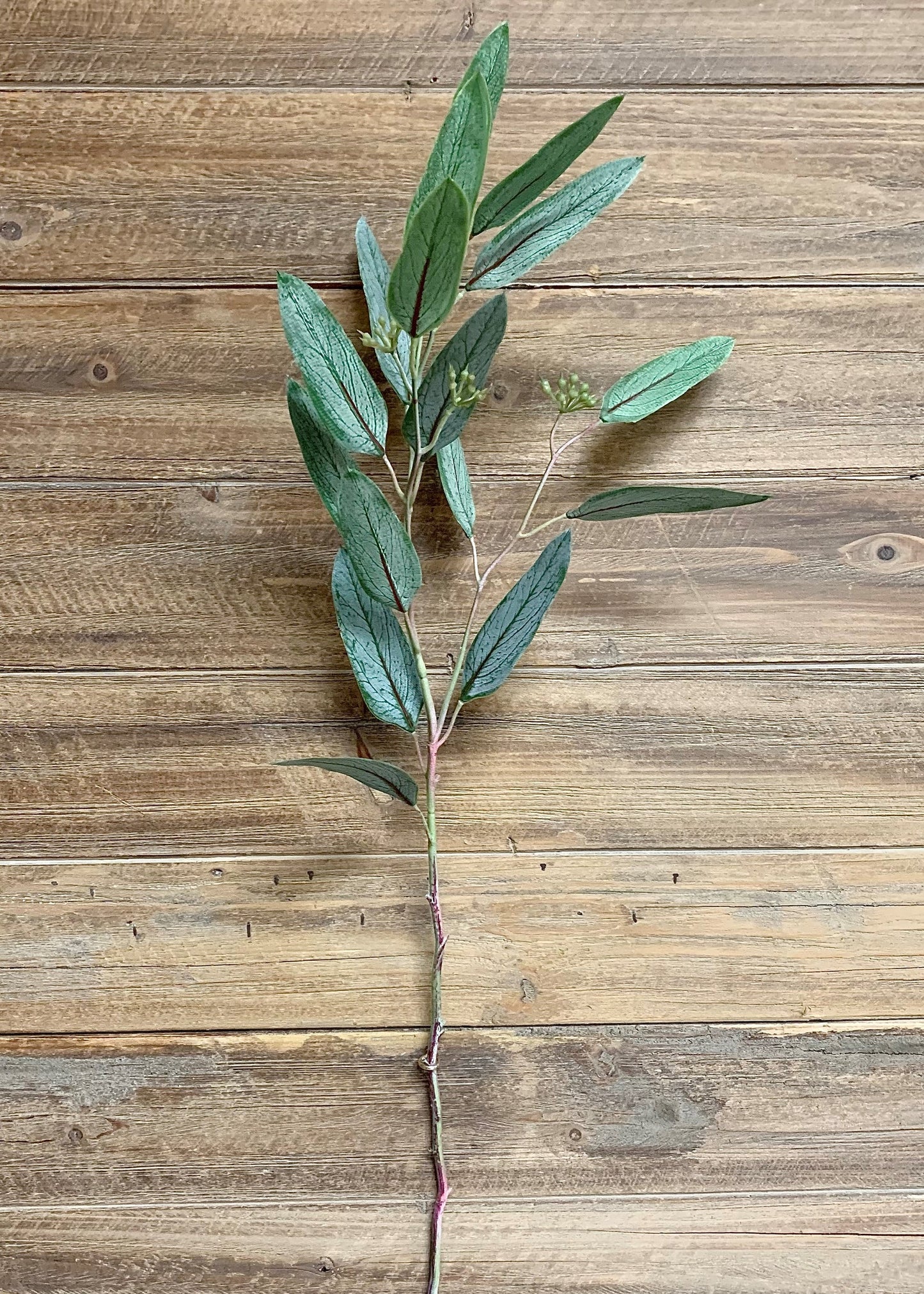 29" FRESH TOUCH WILLOW EUCALYPTUS SPRAY - Magnolia Lane co. Home + Garden + Gift