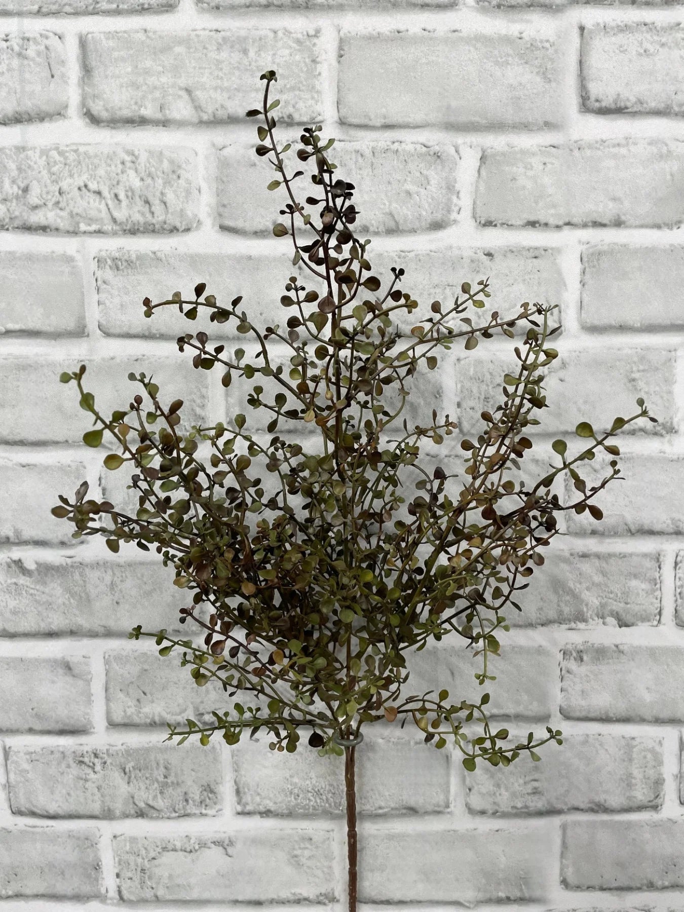20" BURGUNDY GREEN BABY TEARS BUSH