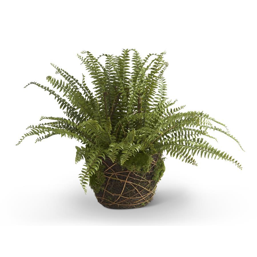 30.25 Inch Boston Fern in Moss and Twig Basket - Magnolia Lane co. Home + Garden + Gift