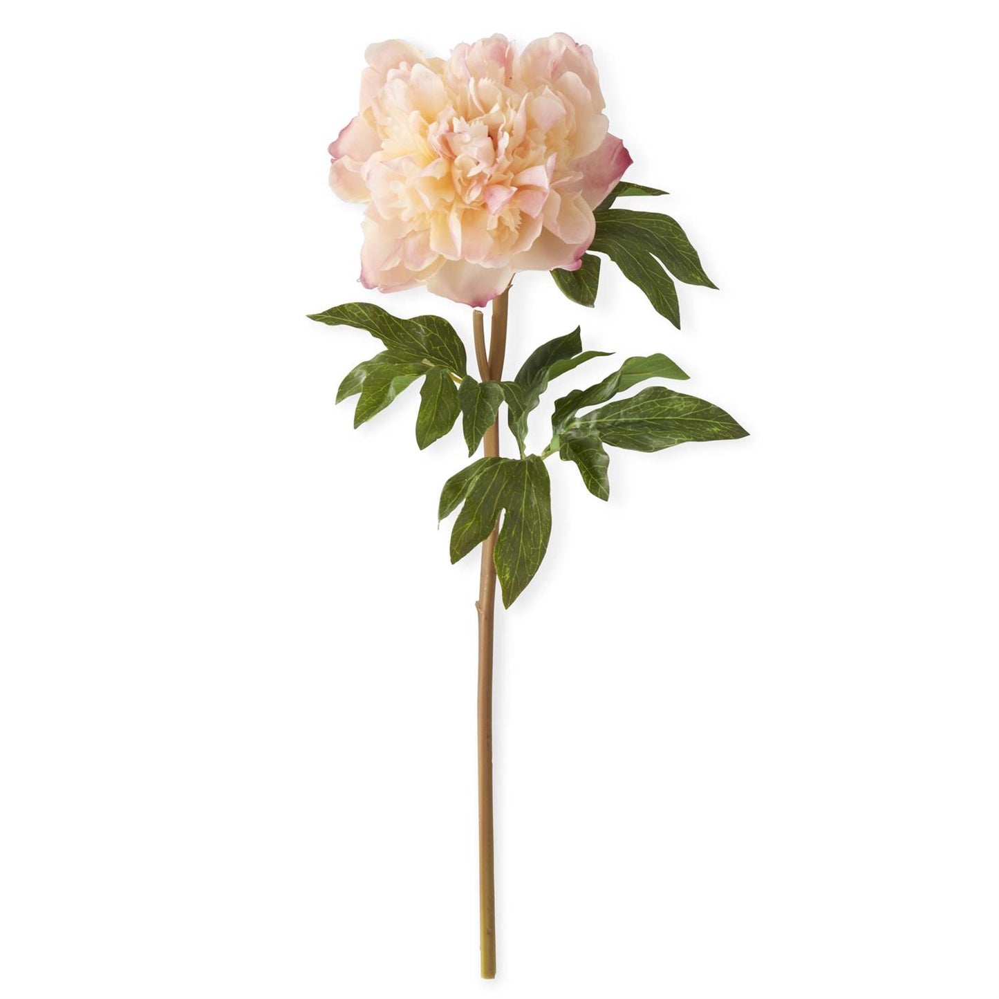 21.5 Inch Coral Charm Real Touch Peony Stem - Magnolia Lane co. Home + Garden + Gift