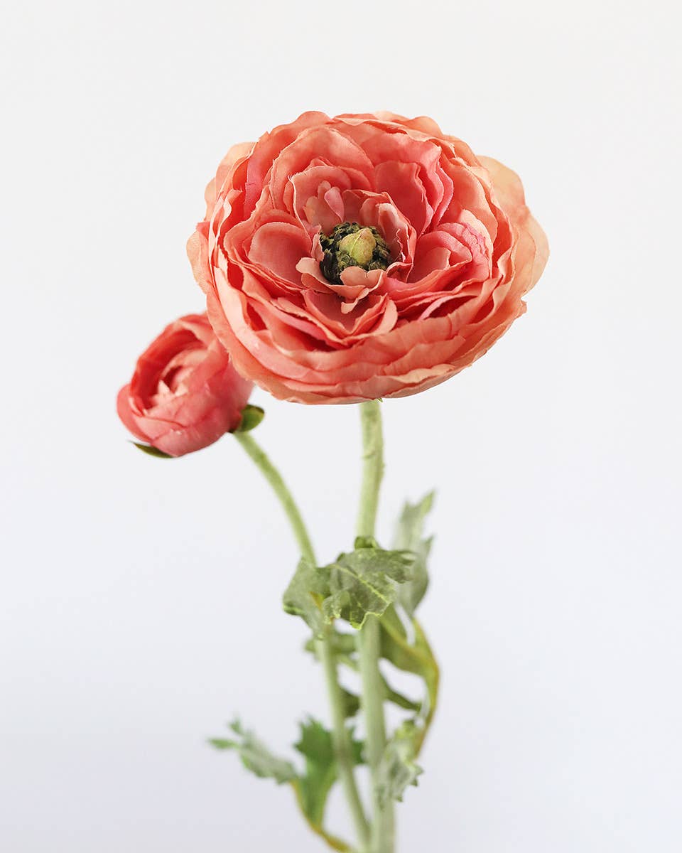 Salmon Pink Ranunculus 19.5"