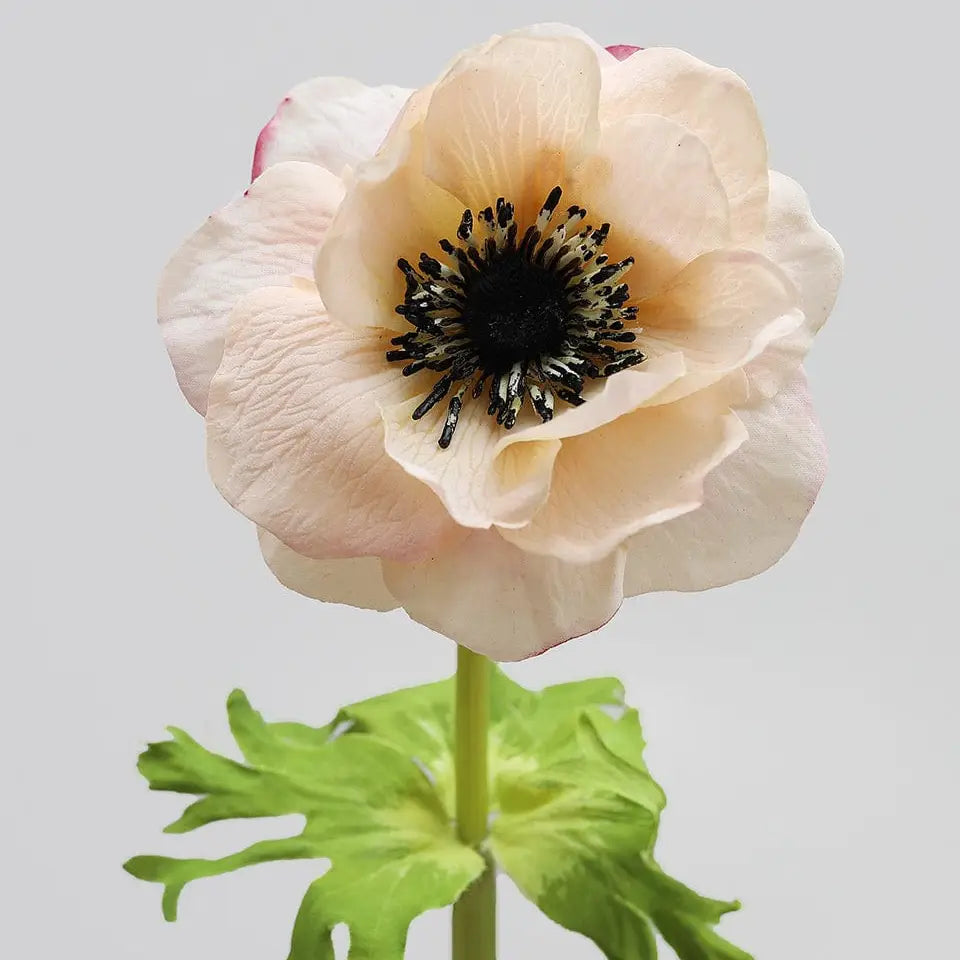 Soft Peach Real Touch Anemone 17.5"