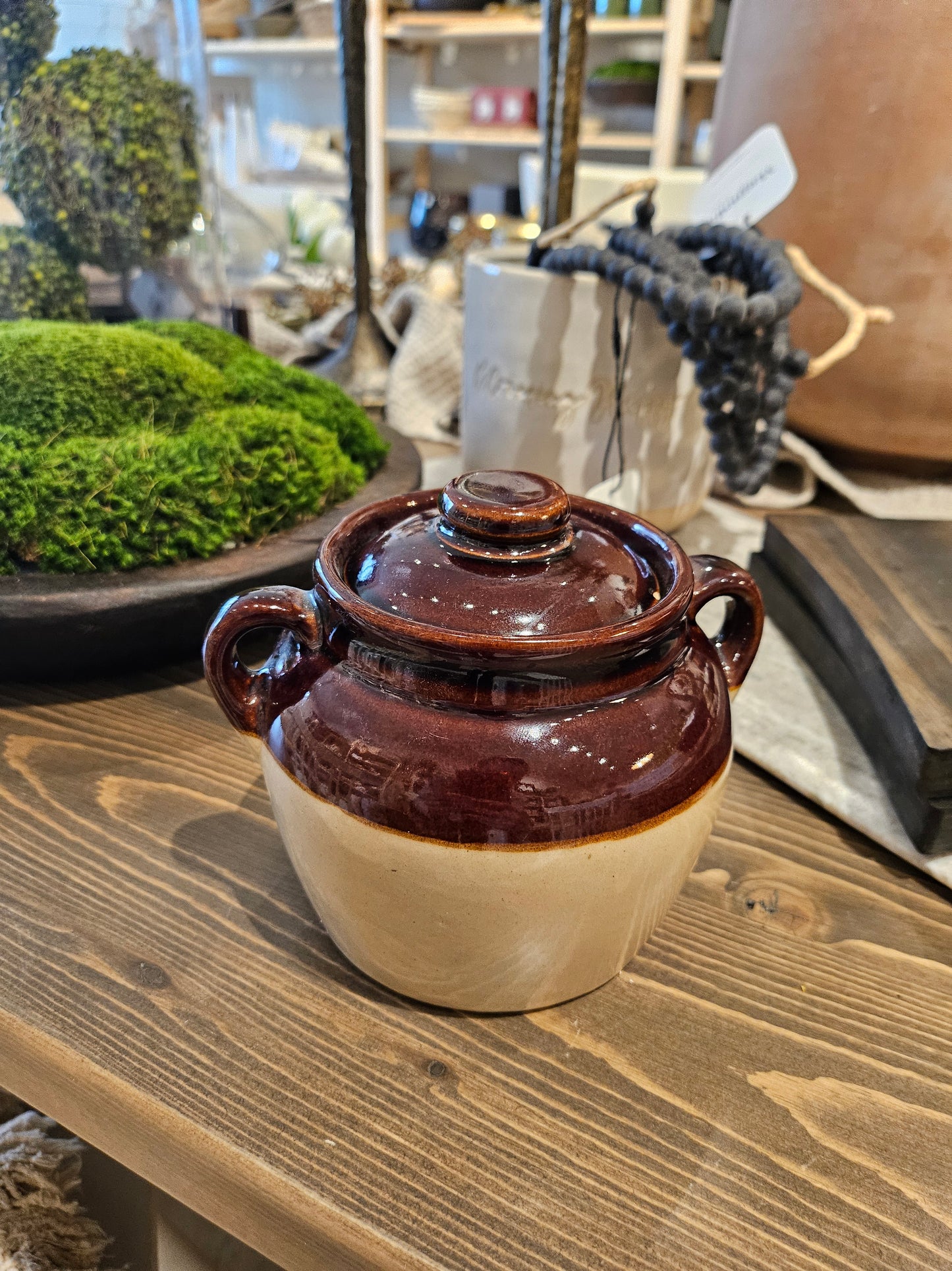 Multi Colour mini handle Lid Pot