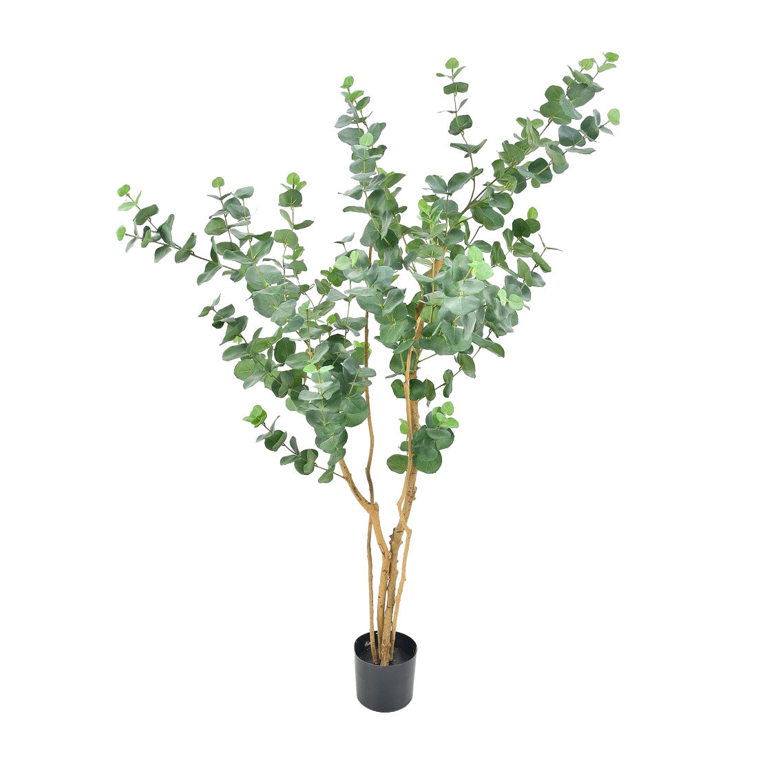 Green/Grey 4' H Powdered Eucalyptus Tree