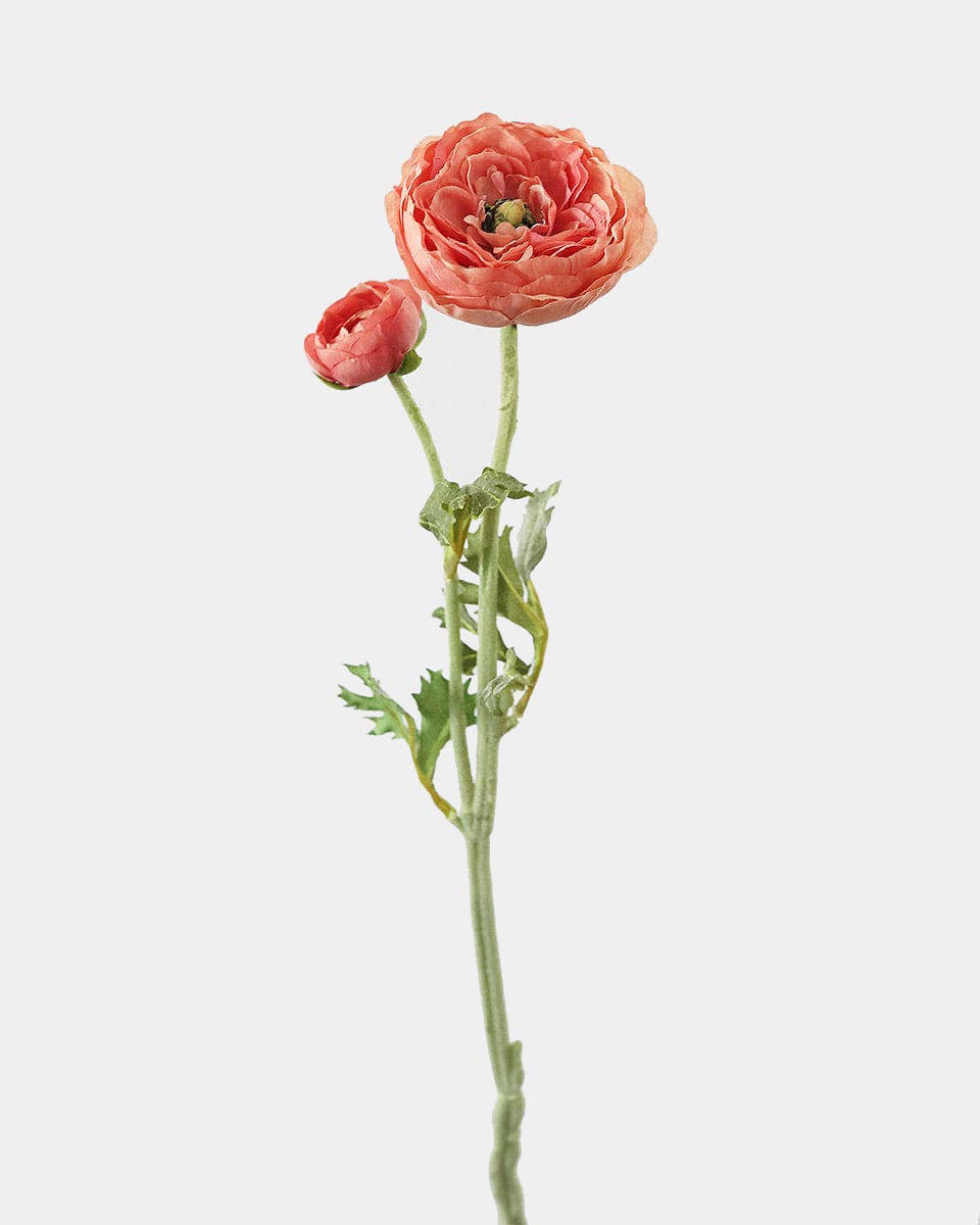 Salmon Pink Ranunculus 19.5"