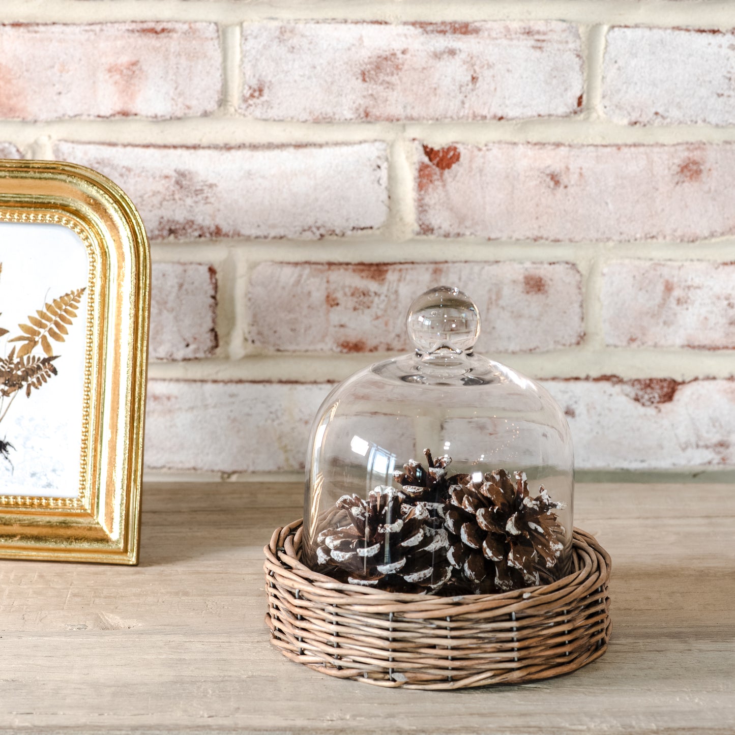 6.3" WILLOW BASE GLASS CLOCHE