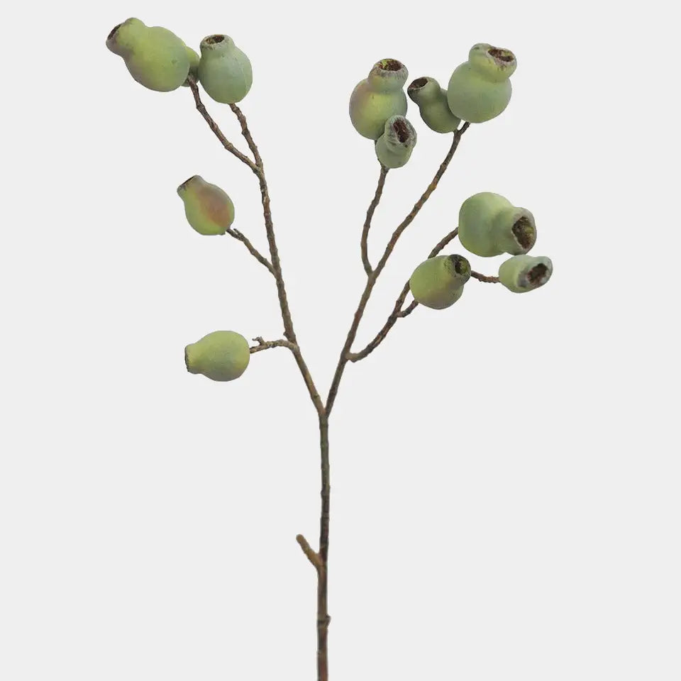 Artificial Eucalyptus Pods 24.5"