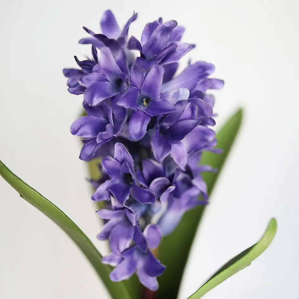 Purple Hyacinth 12.5”