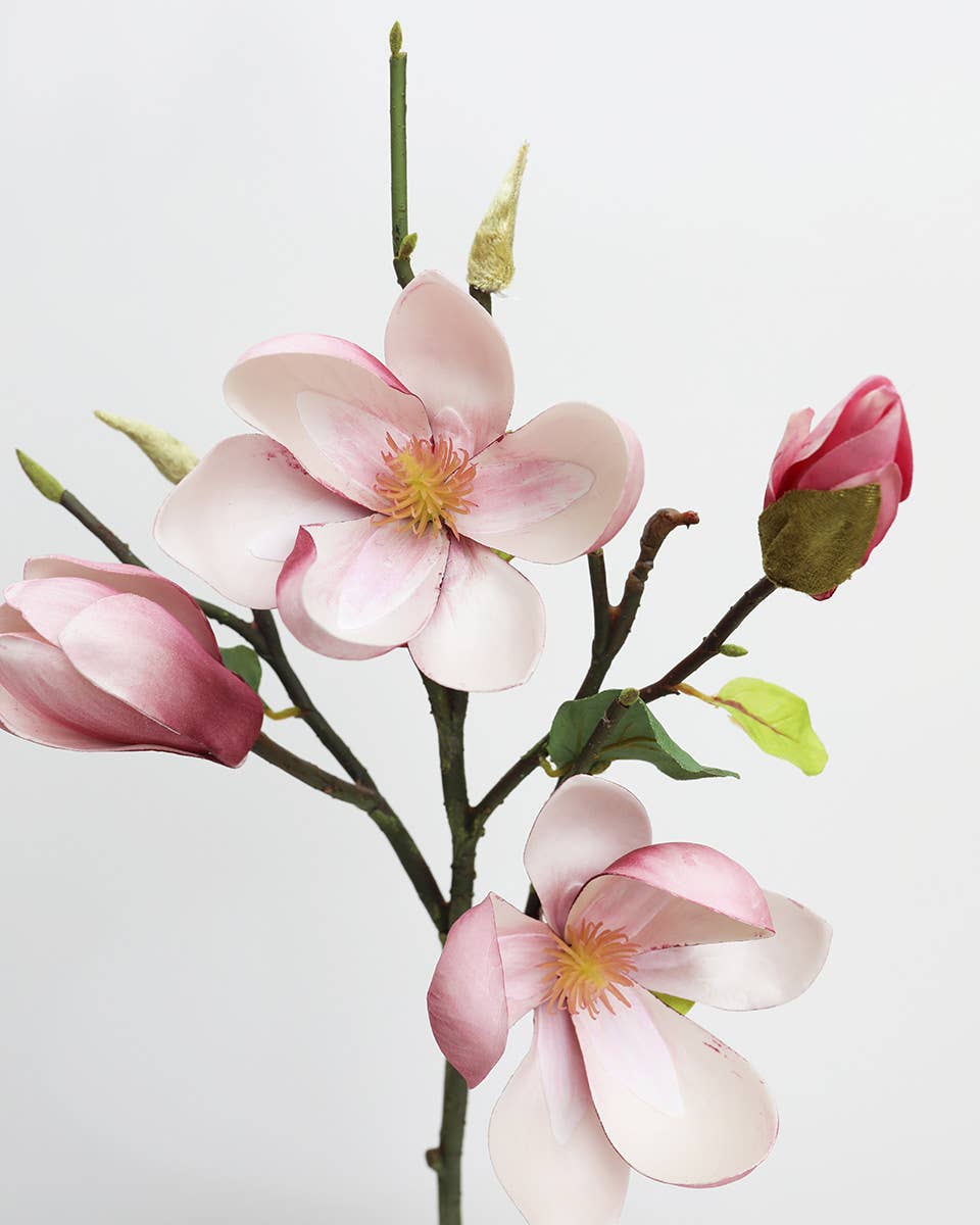 Pink Magnolia Stem 20"