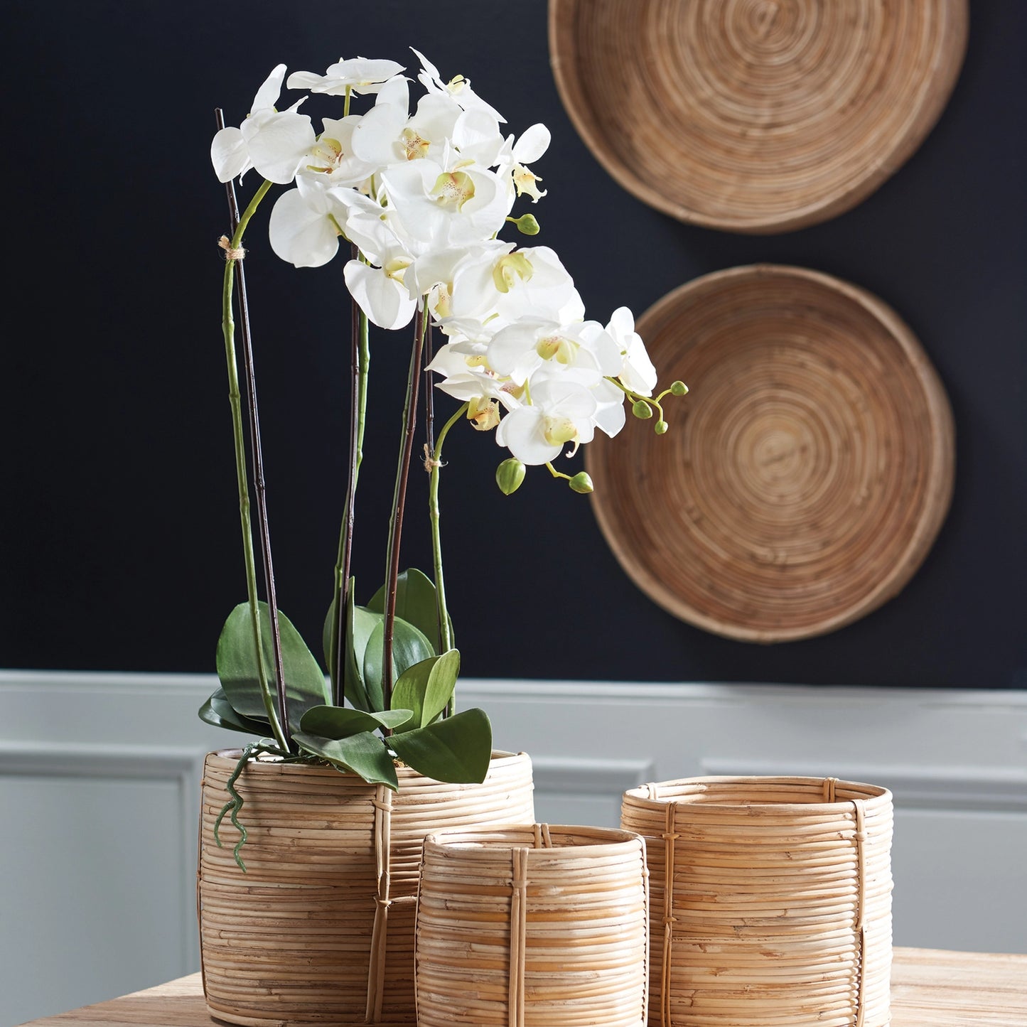 Phalaenopsis Orchid Drop-In 30" | White