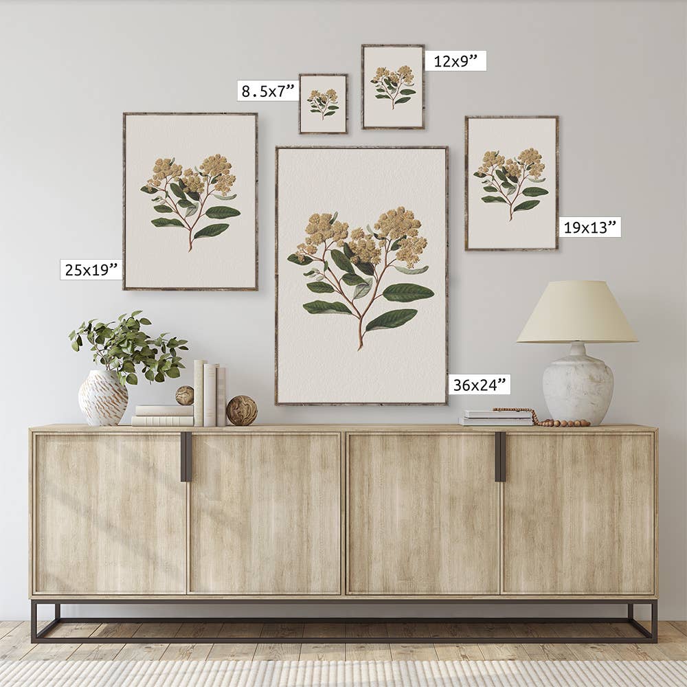 Vintage Flower Print Framed | Floral Botanical Art A105