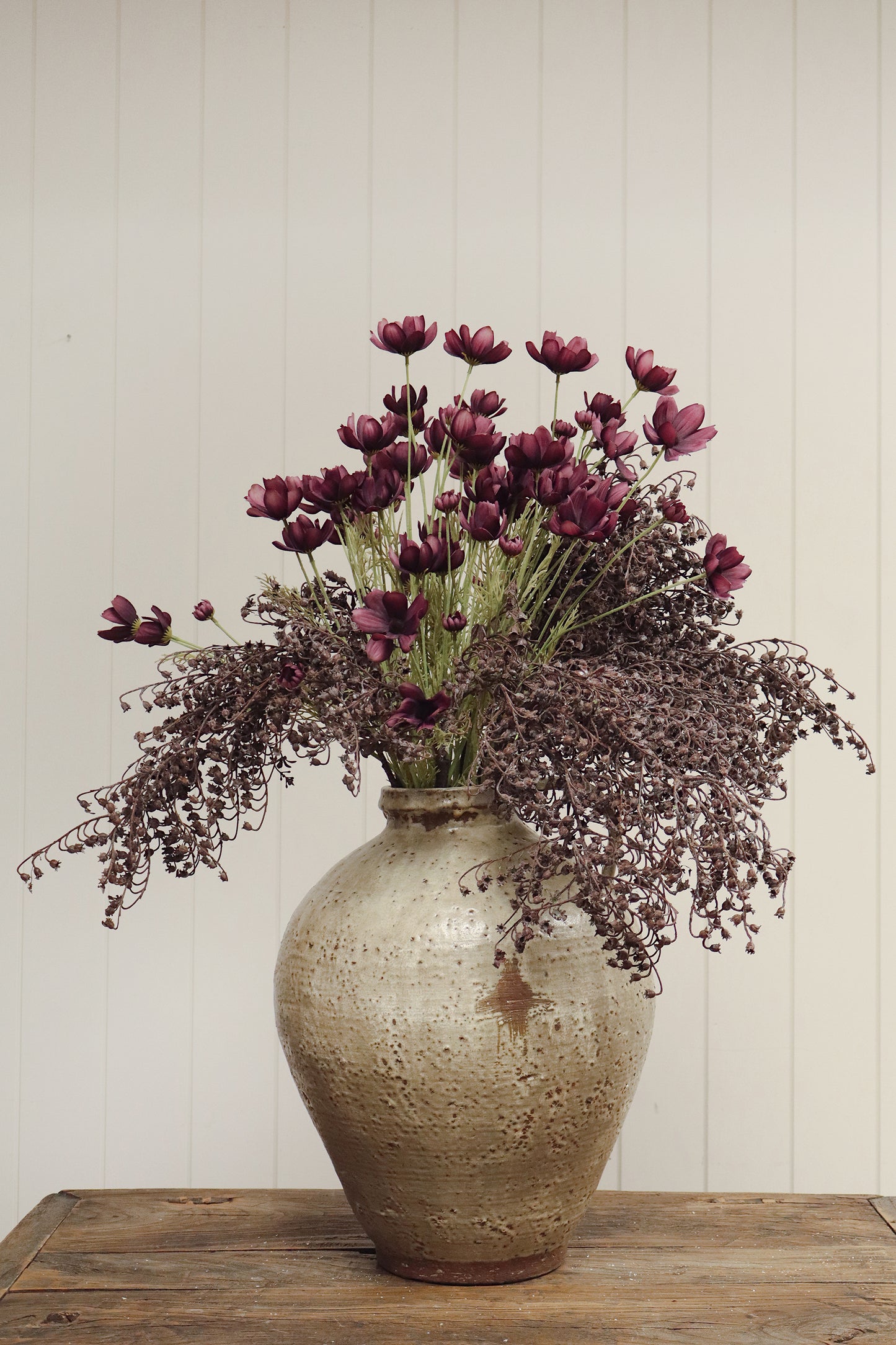 Calliopsis Spray
