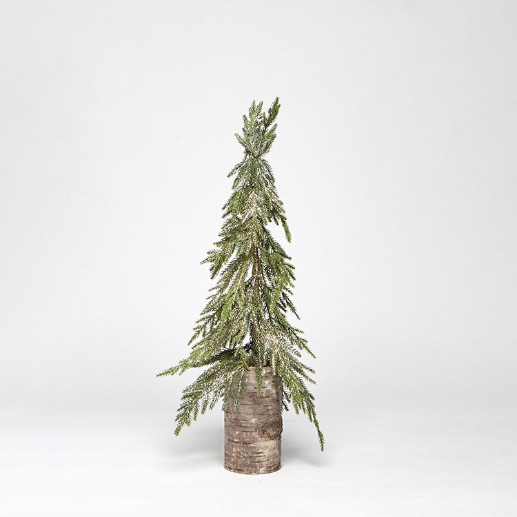 Golden Pine Tree Green