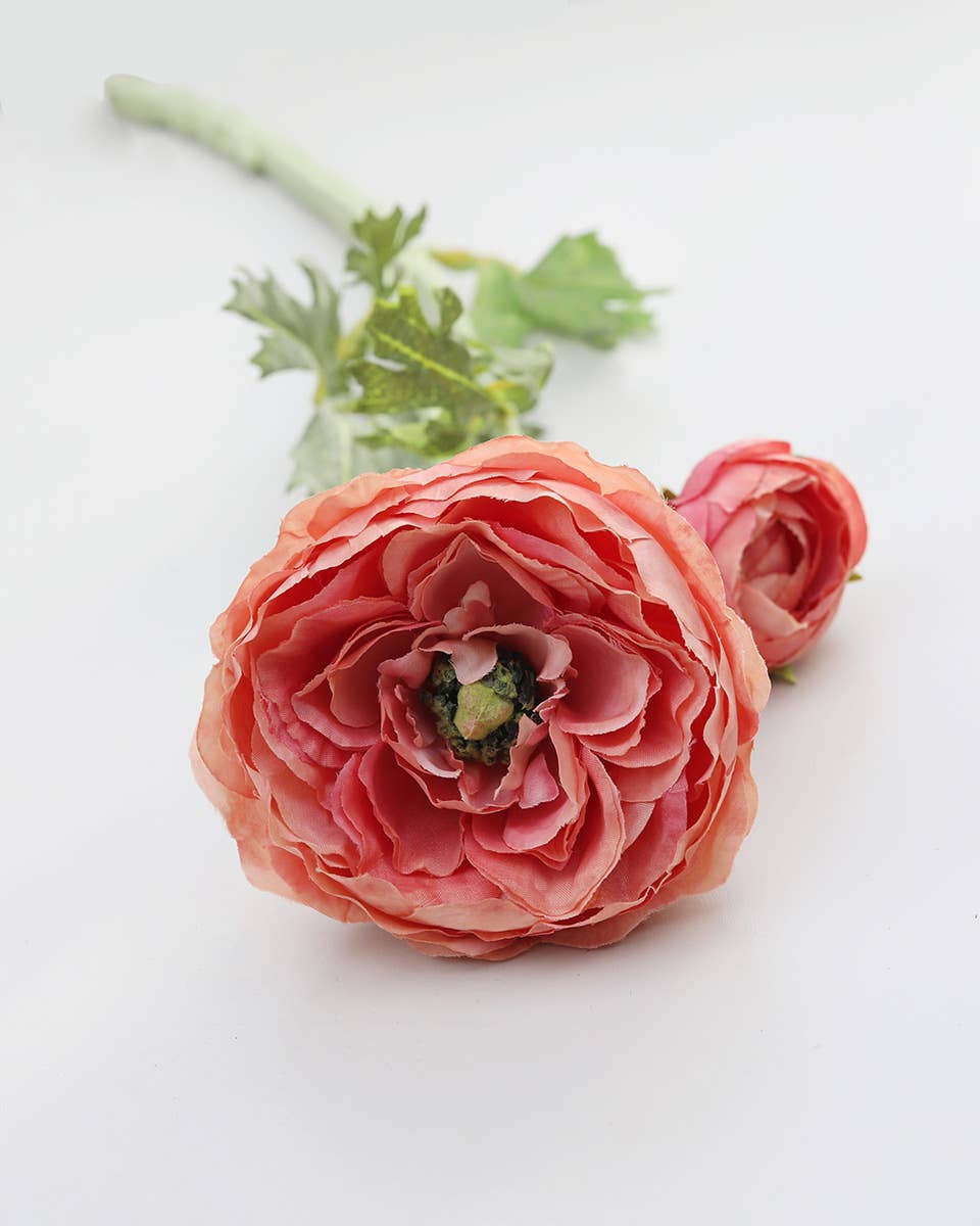 Salmon Pink Ranunculus 19.5"