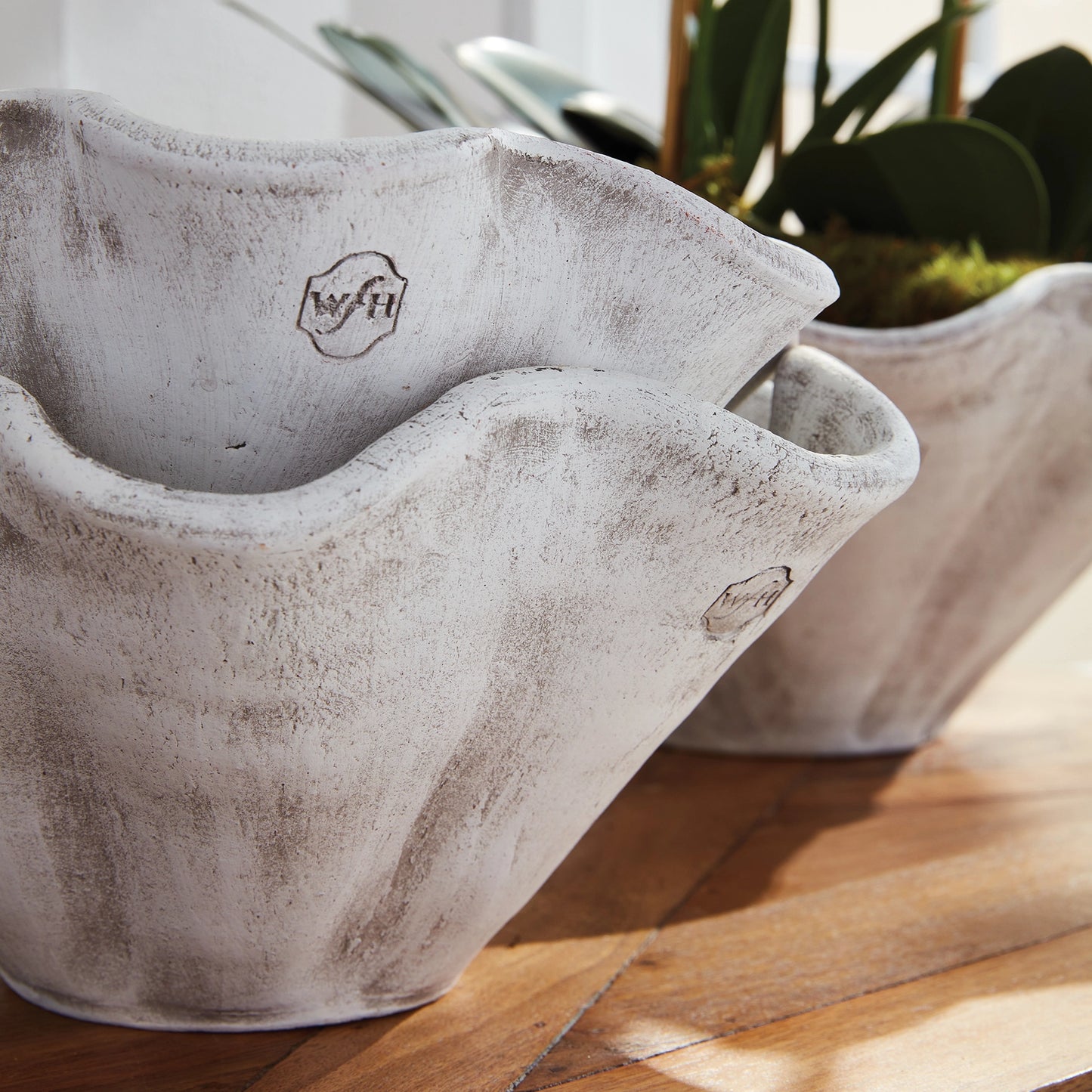 Wakefield Handmade Wiley Pot | 2 Sizes