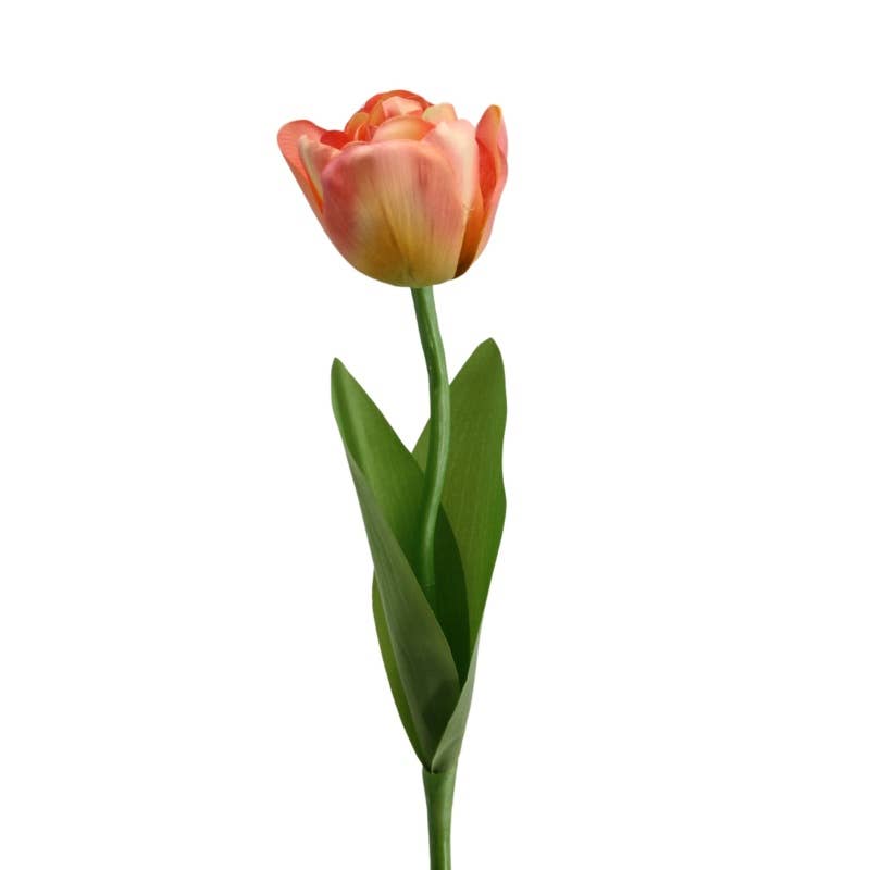 Double tulip 52 cm peach-pink