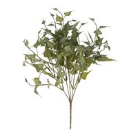 Ivy Spray, Green