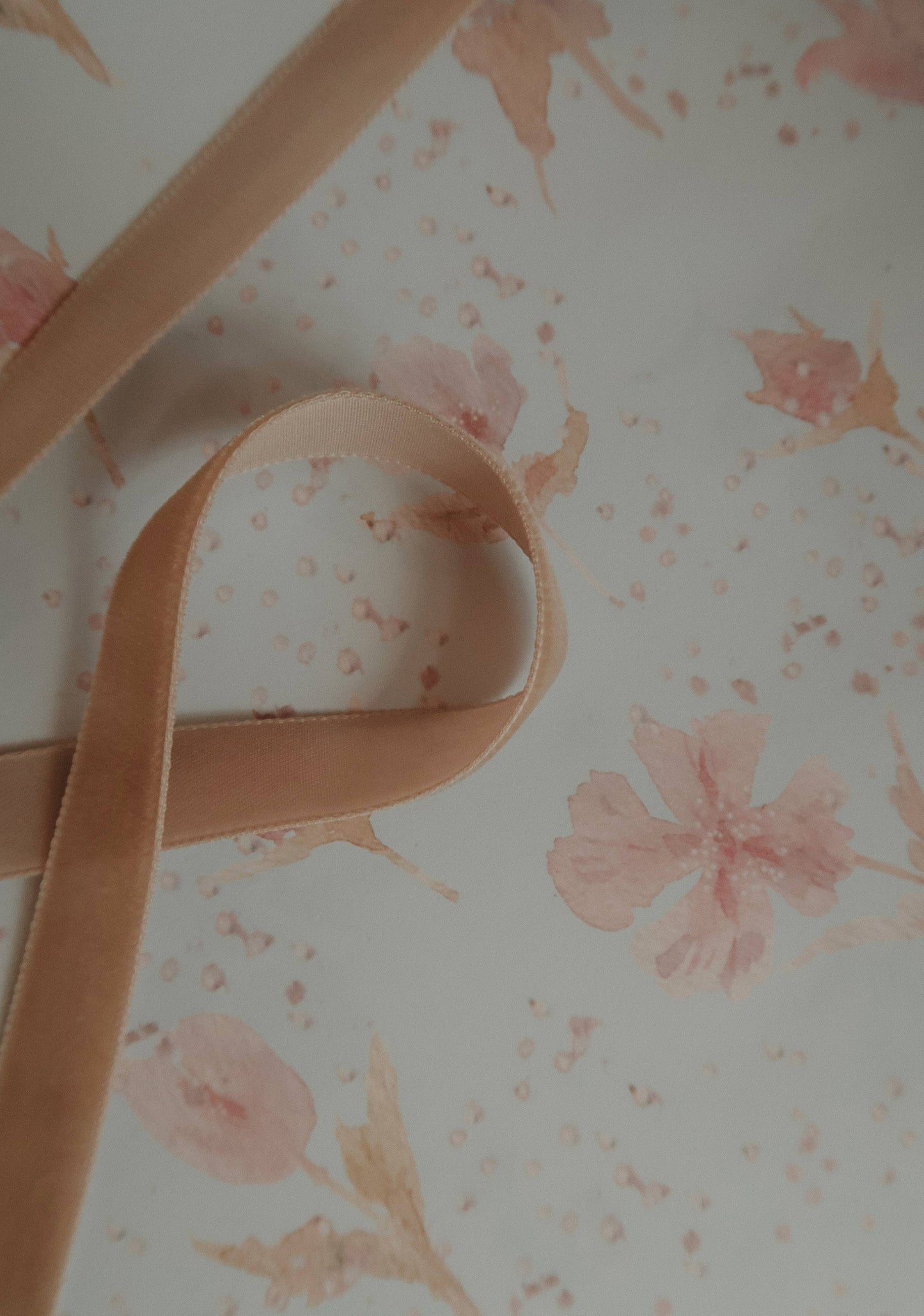 Velvet ribbon LIGHT BROWN length 2,5m/width 16mm