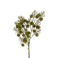 Wild Berry Spray, Green