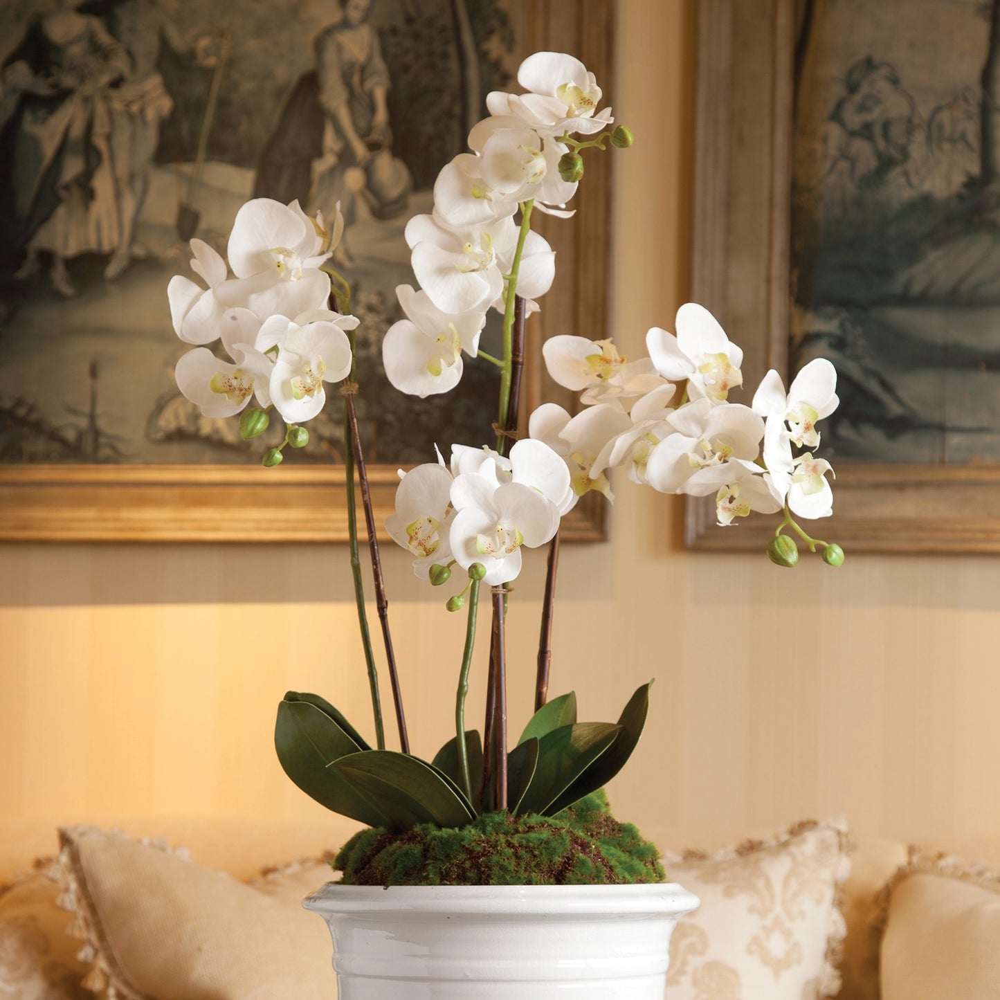 Phalaenopsis Orchid Drop-In 30" | White