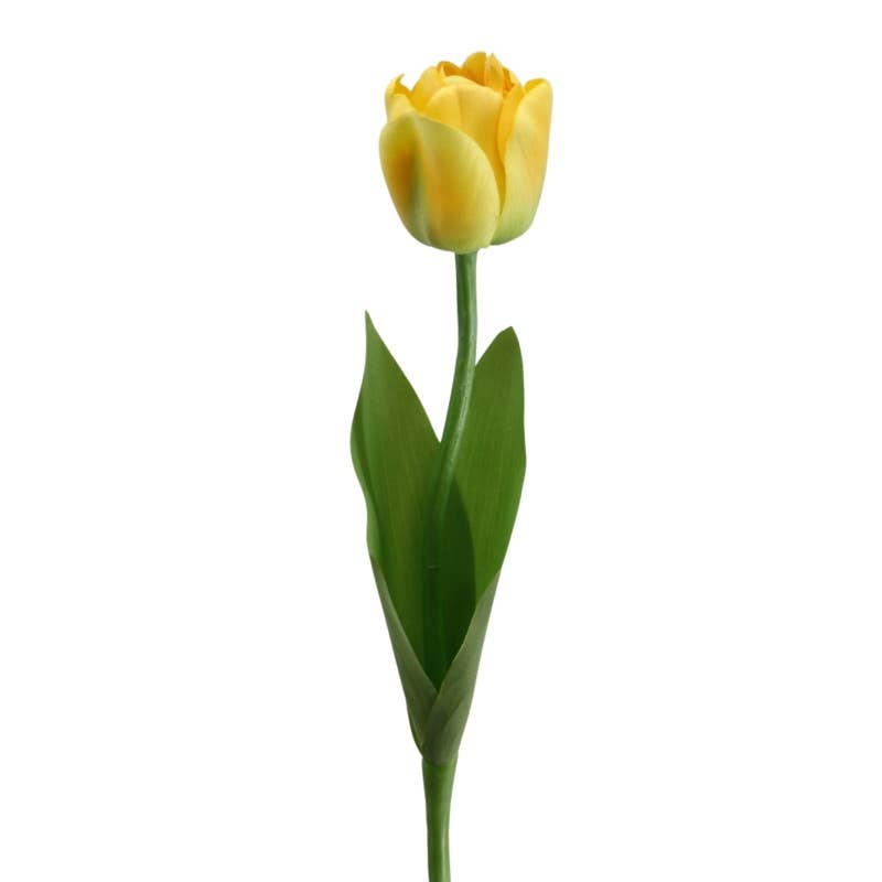 Double tulip 52 cm yellow