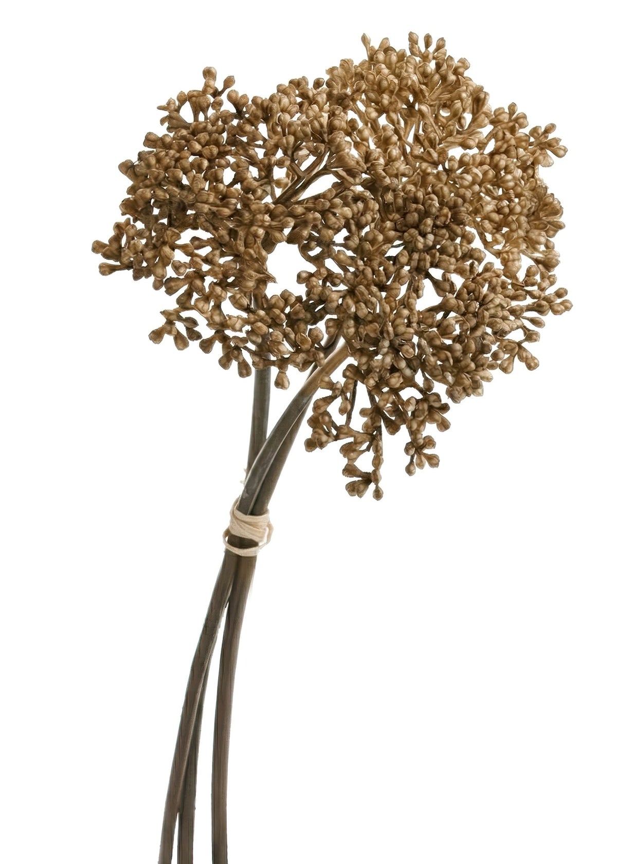 MEADOW GRASS BOUQUET LIGHT COFFEE 10"