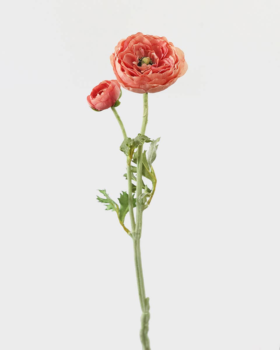 Salmon Pink Ranunculus 19.5"