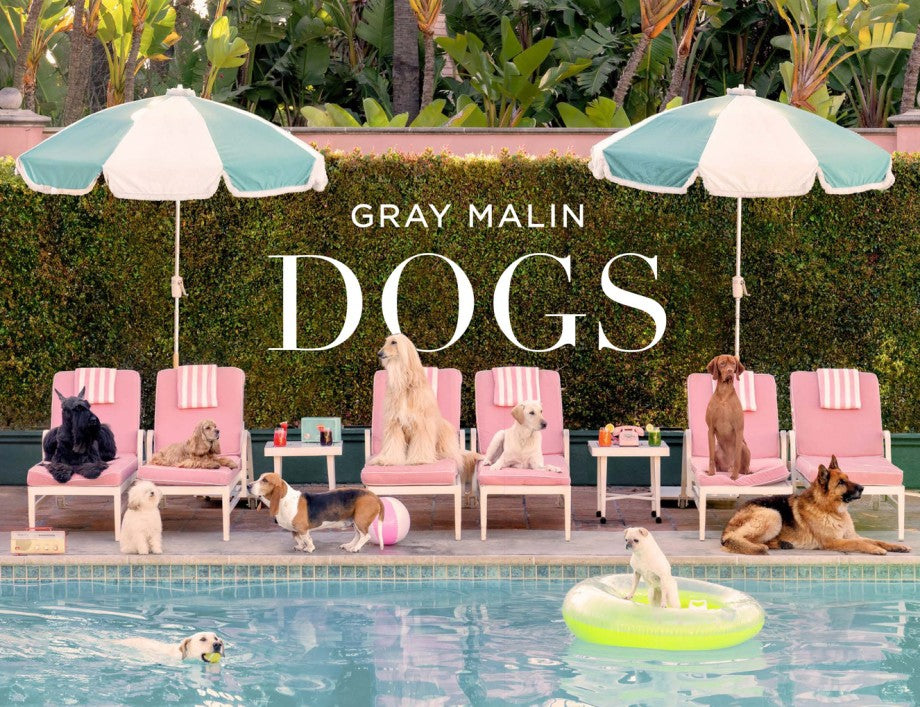 Gray Malin : Dogs : Photographs