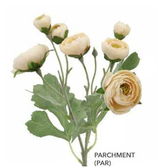 RANUNCULUS SPRAY 19" PARCHMENT Colour