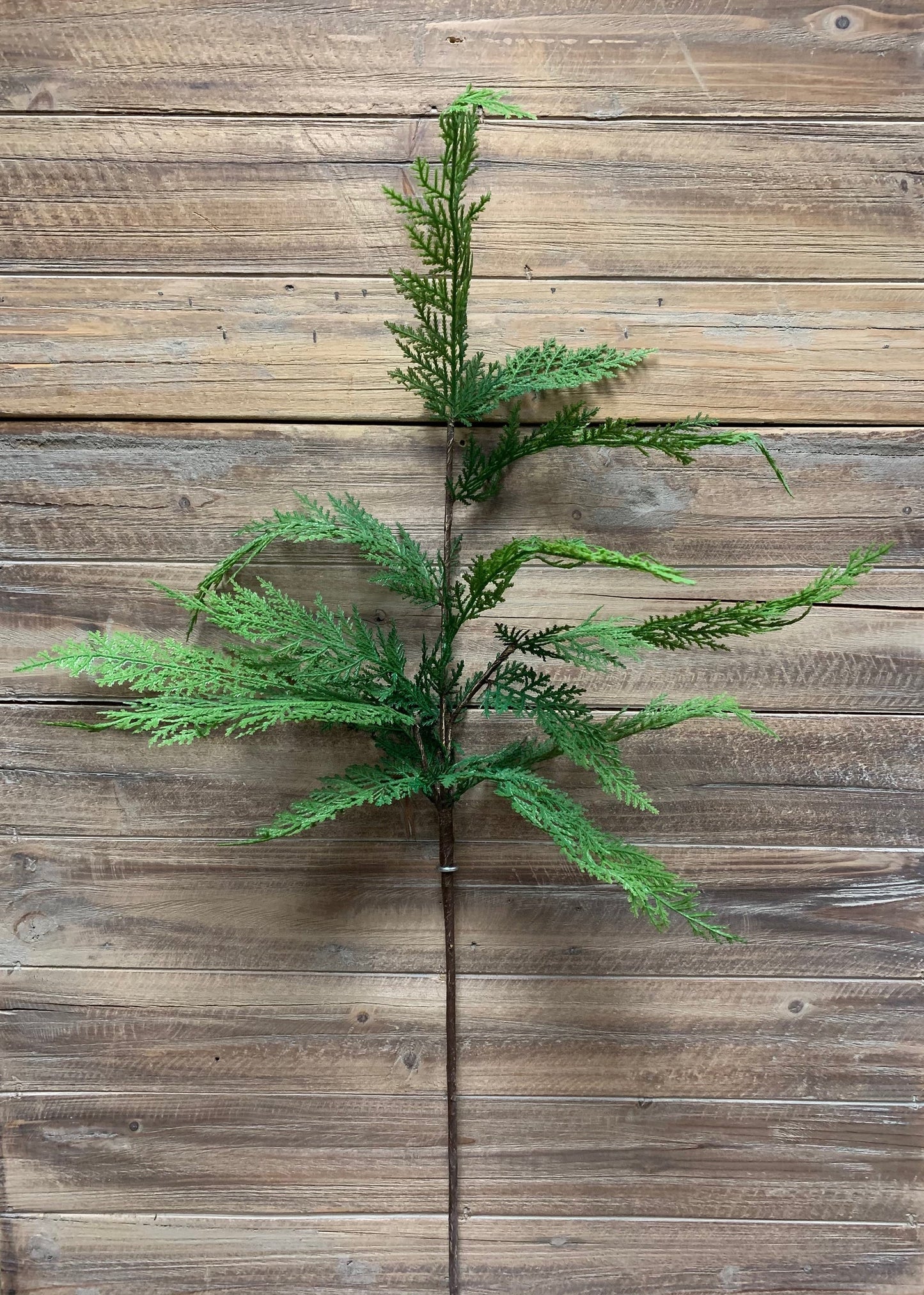36" FRESH TOUCH SEQUOIA CYPRESS SPRAY