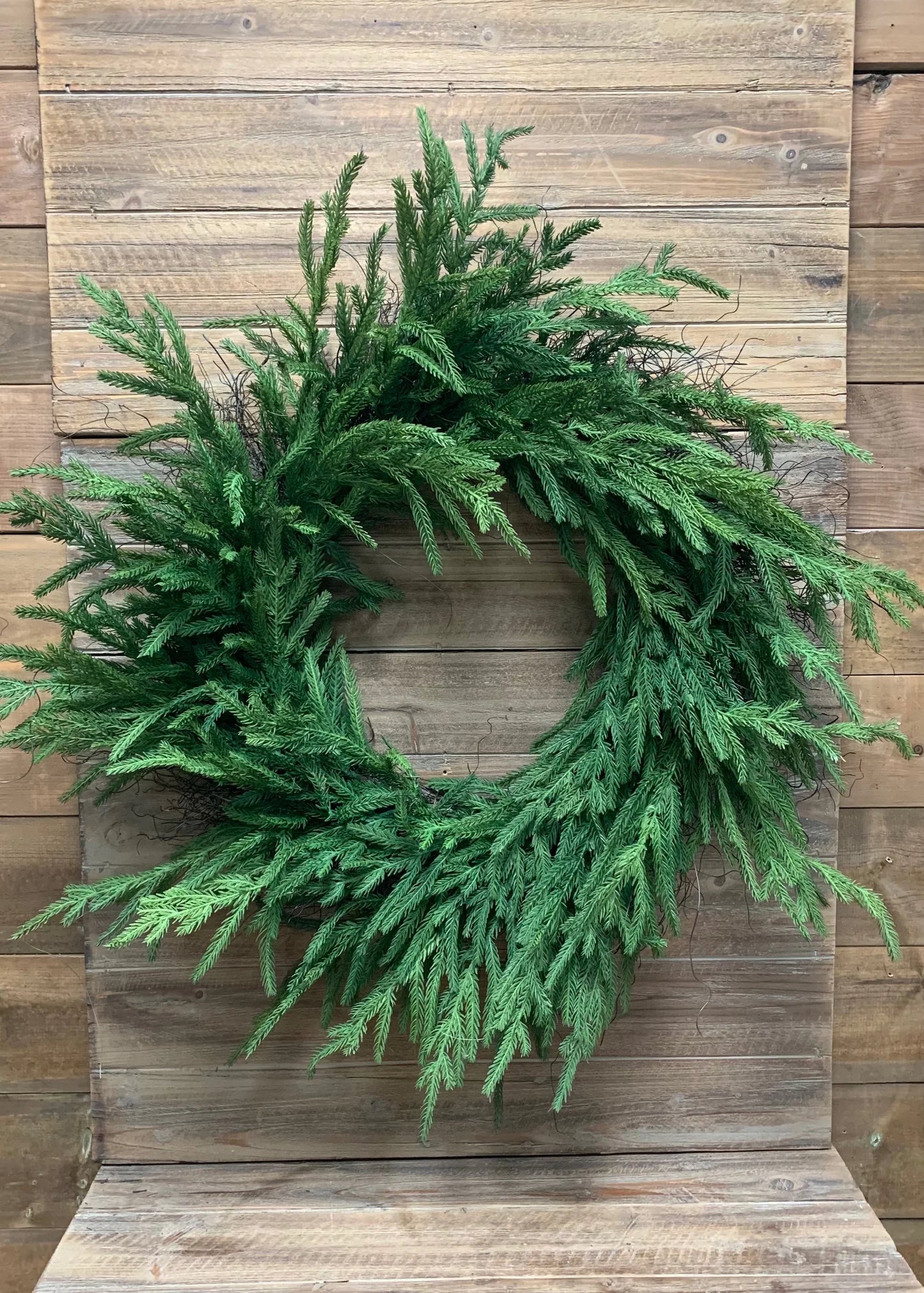 12" INSIDE DIM, 24" OUTSIDE DIM, FRESH TOUCH NORFOLK PINE WREATH ON NATURAL FRAME