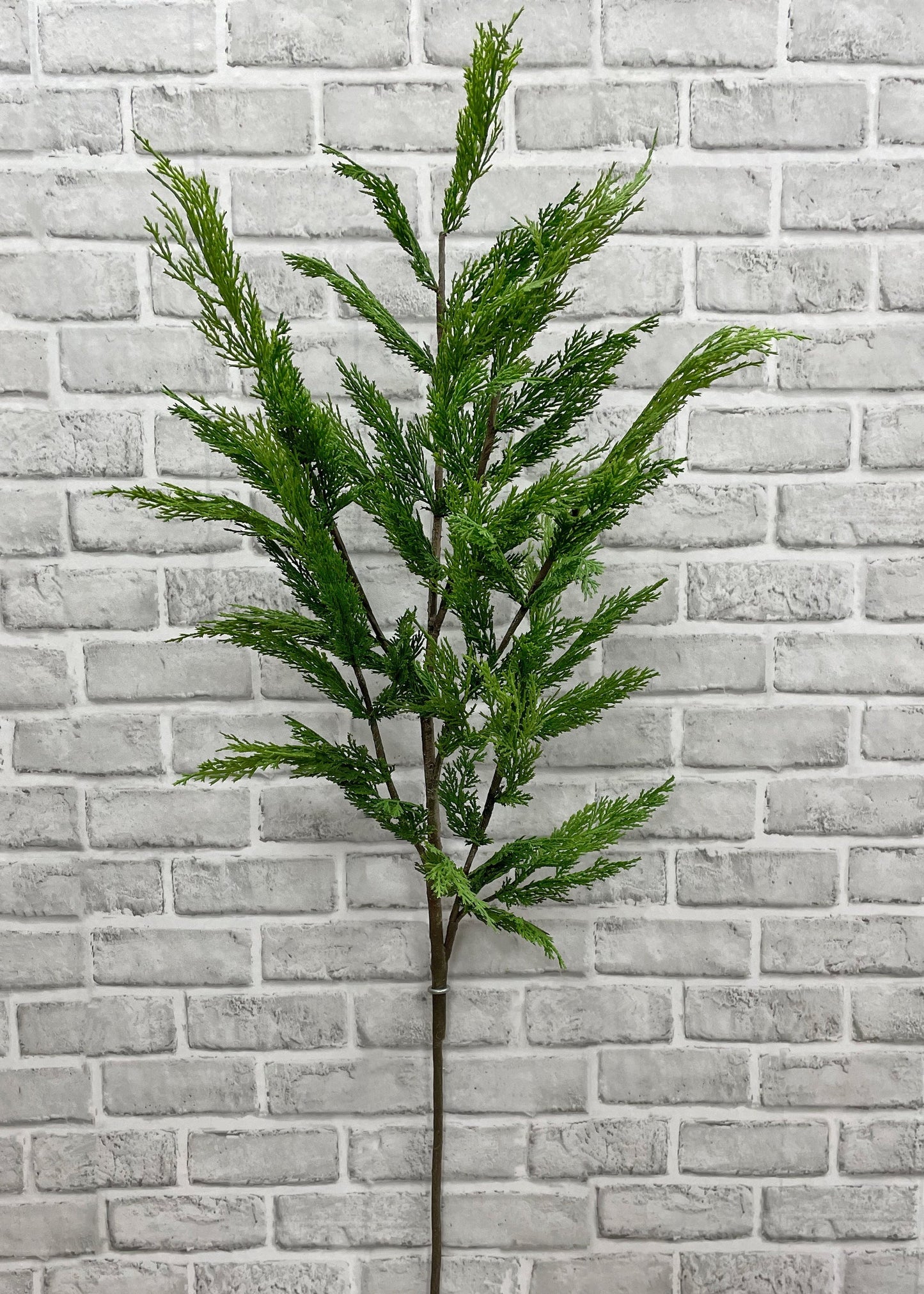 48” FRESH TOUCH WHISPY CEDAR BRANCH