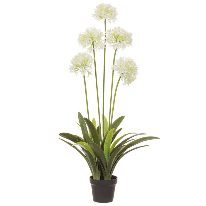 Faux CREAM AGAPANTHUS 45.4" PLANT IN POT