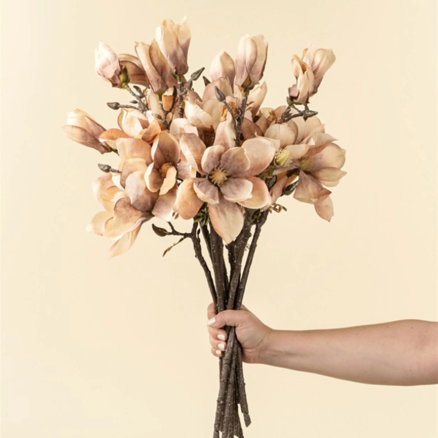 Magnolia Branch, Cream - Magnolia Lane co. Home + Garden + Gift