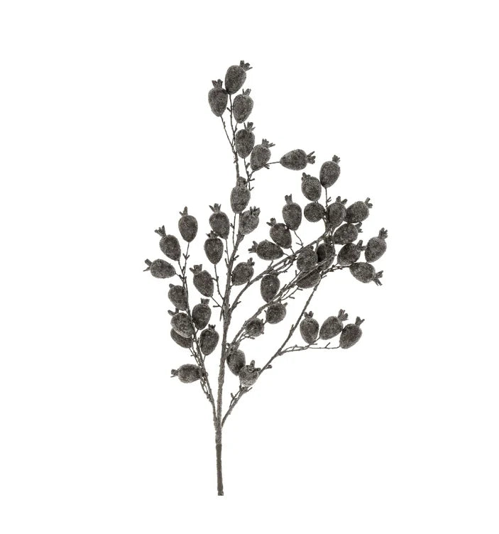 Dried Berry Branch, Grey