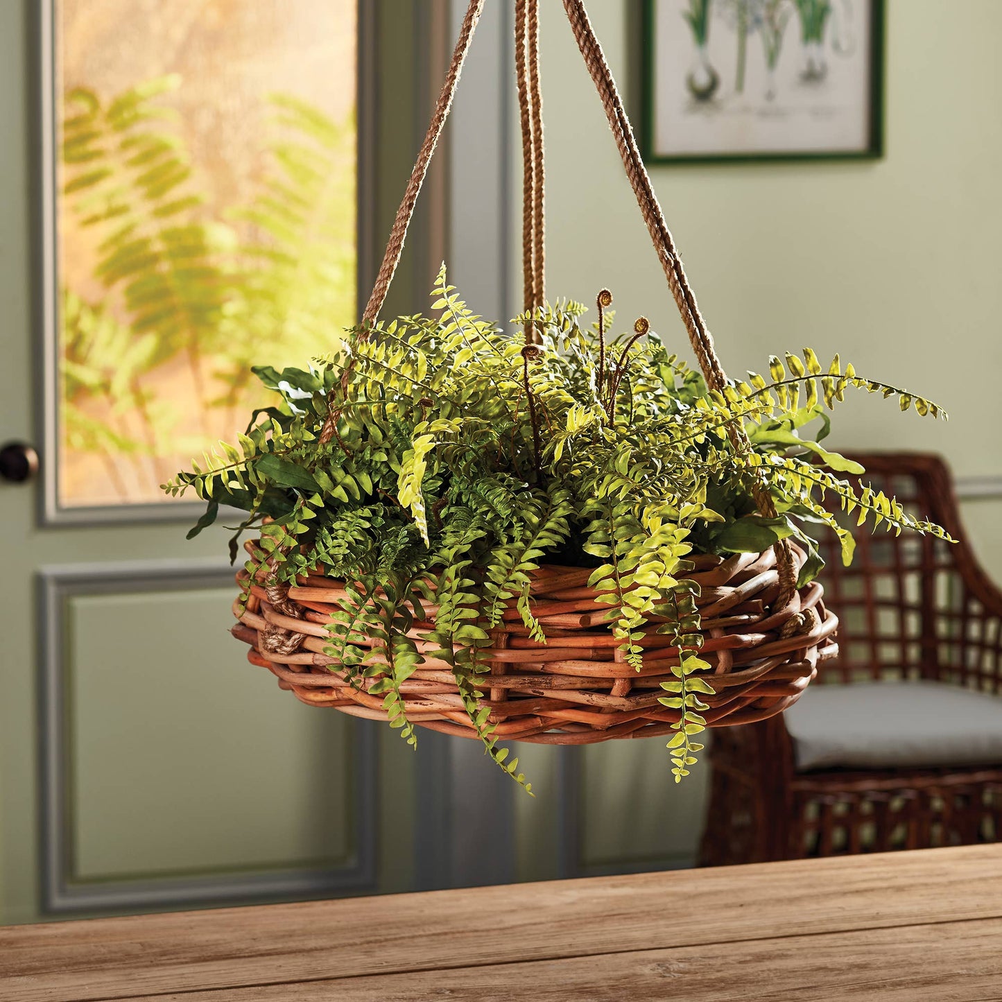 Boston Fern Rustic Drop-In 12"