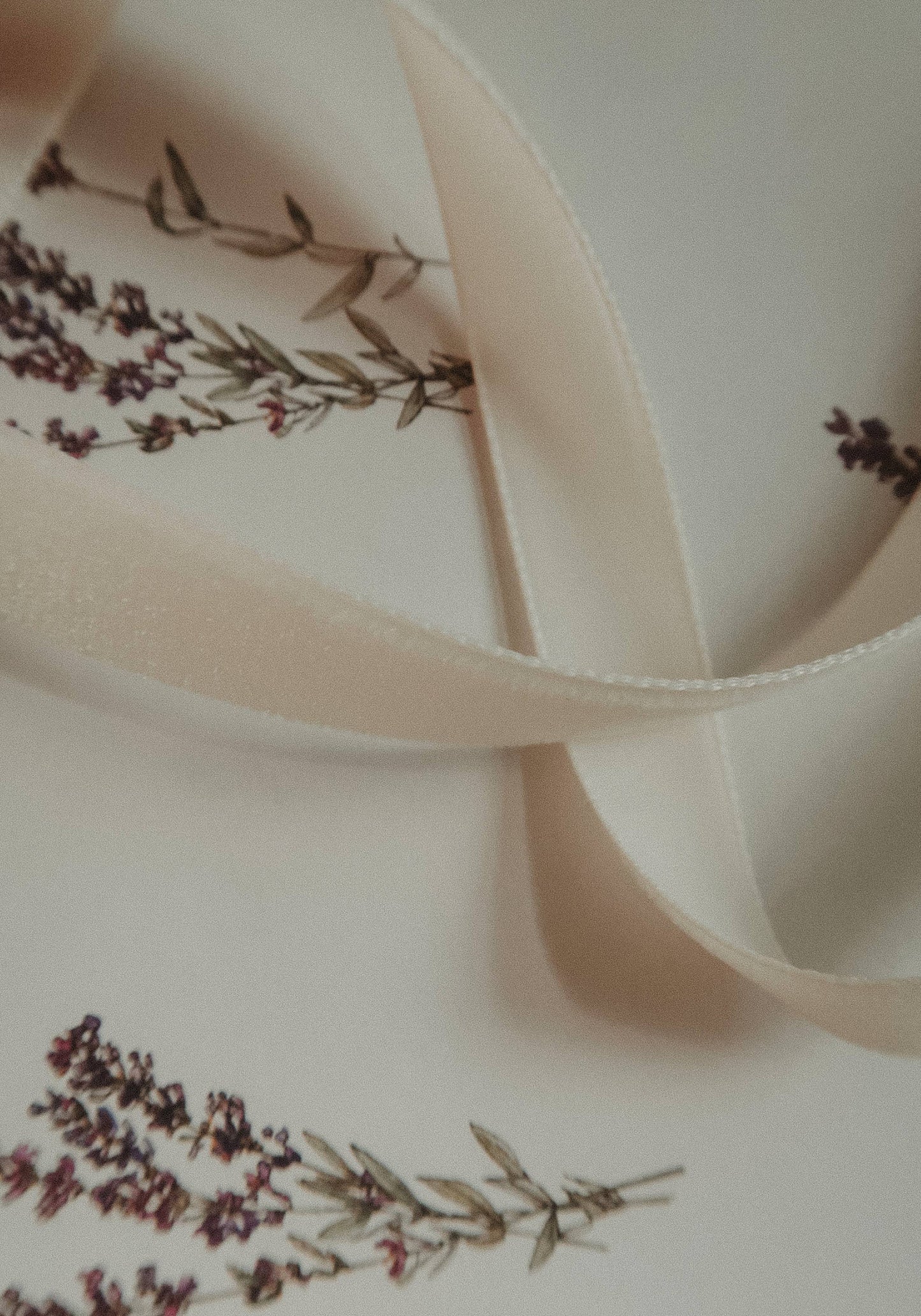 Velvet ribbon PURE WHITE length 2,5m/width 16mm