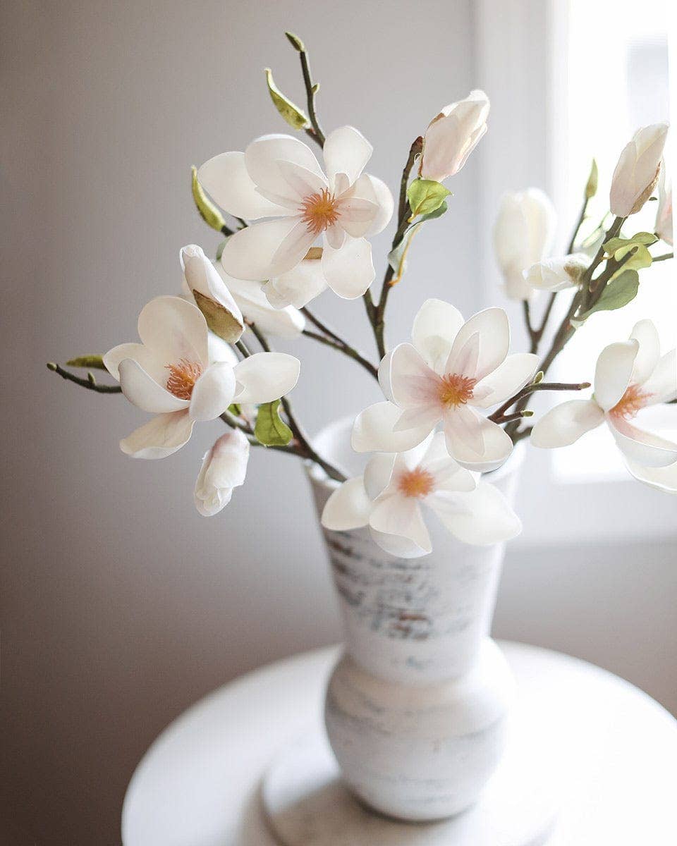 White Magnolia Tulip 20"