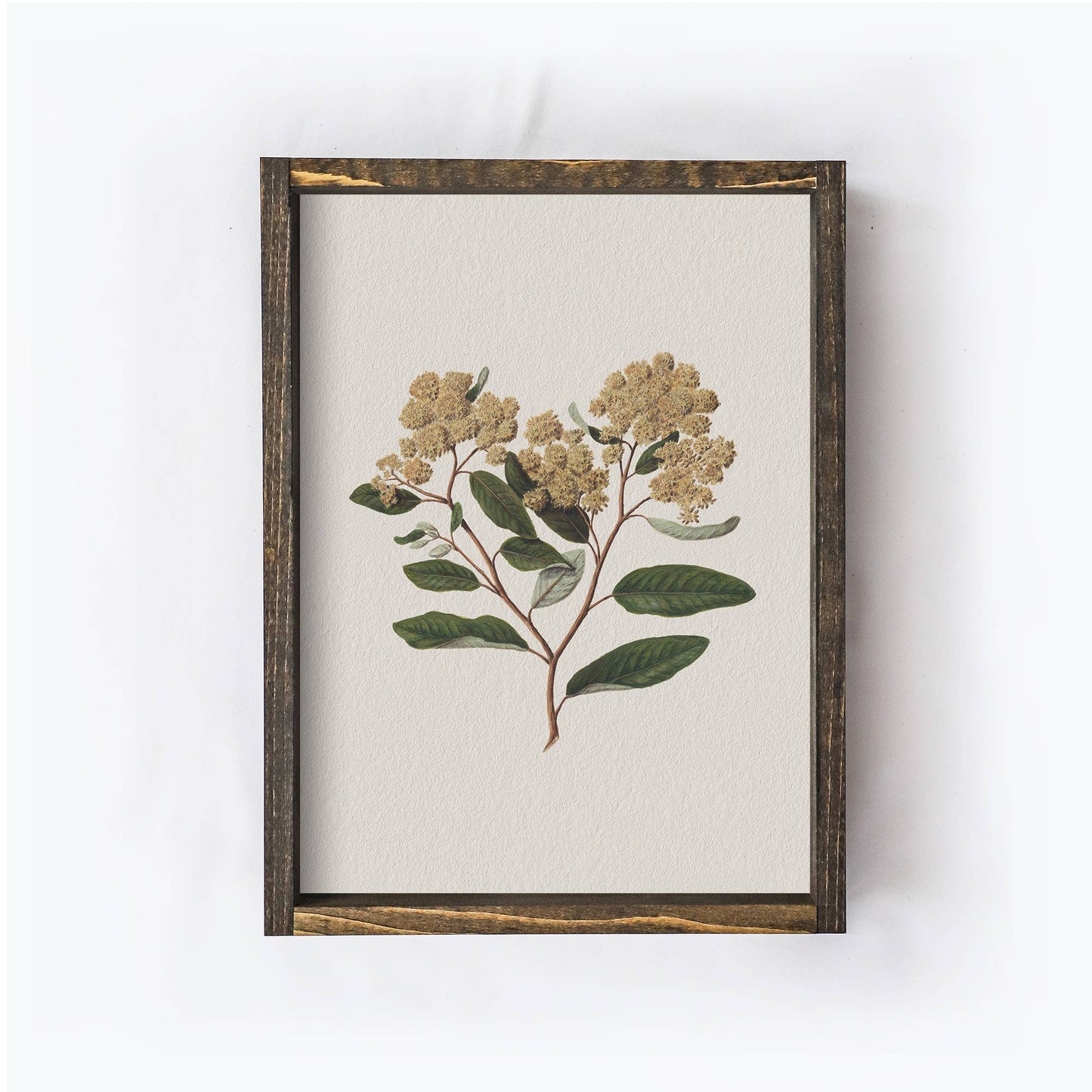 Vintage Flower Print Framed | Floral Botanical Art A105