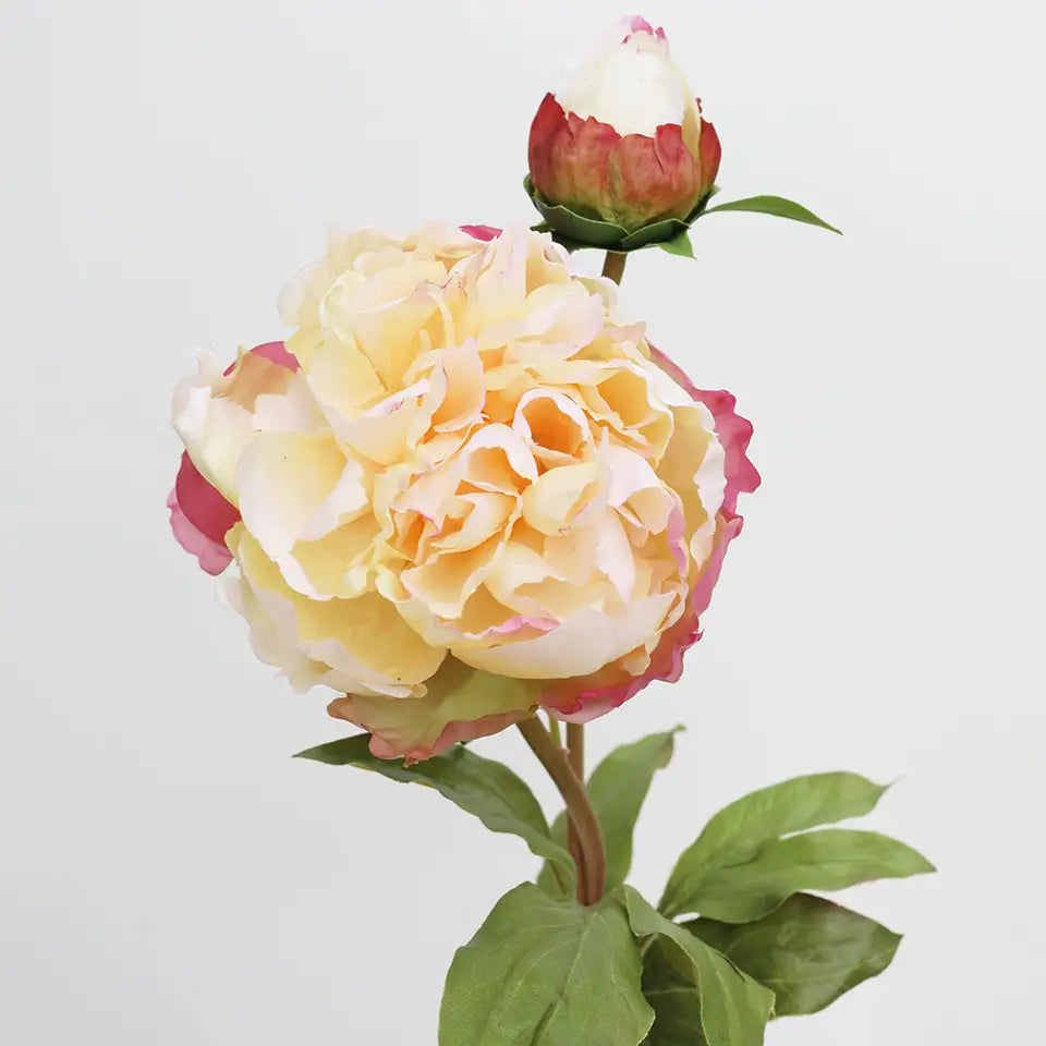 Soft Yellow Peony 19.5"