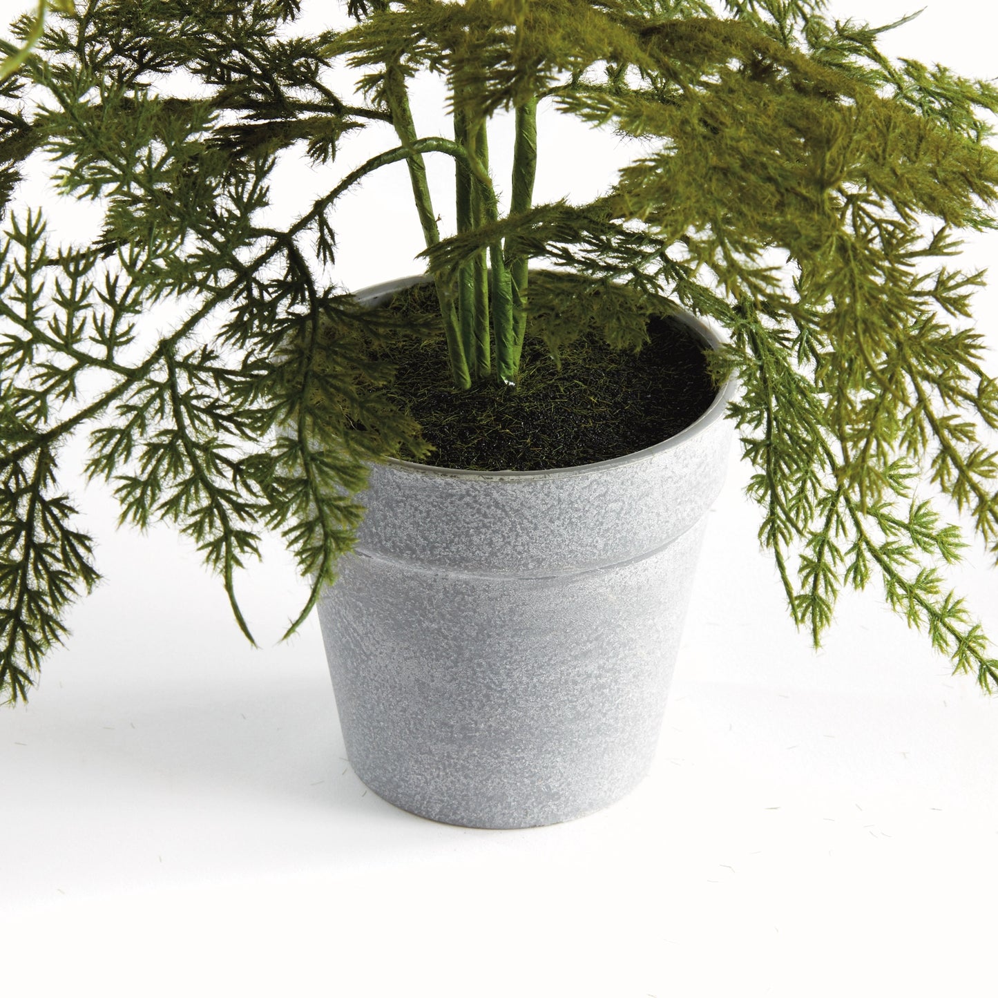 Plumosa Fern Drop-in 13"