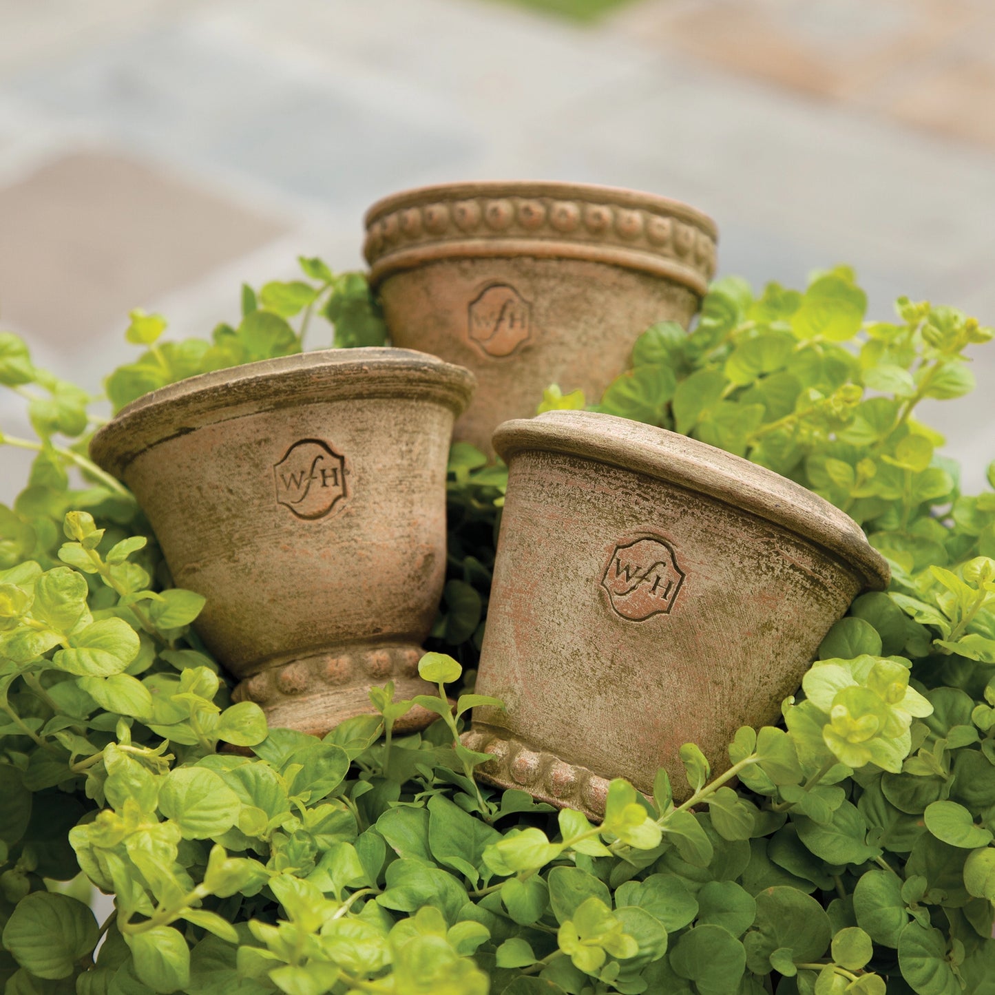 Wakefield Handmade Mini Pot | Brown