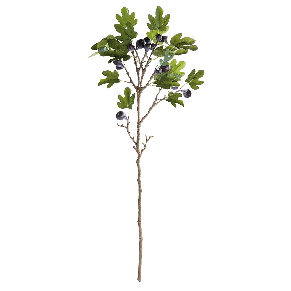 Fig Branch with Figs 46"