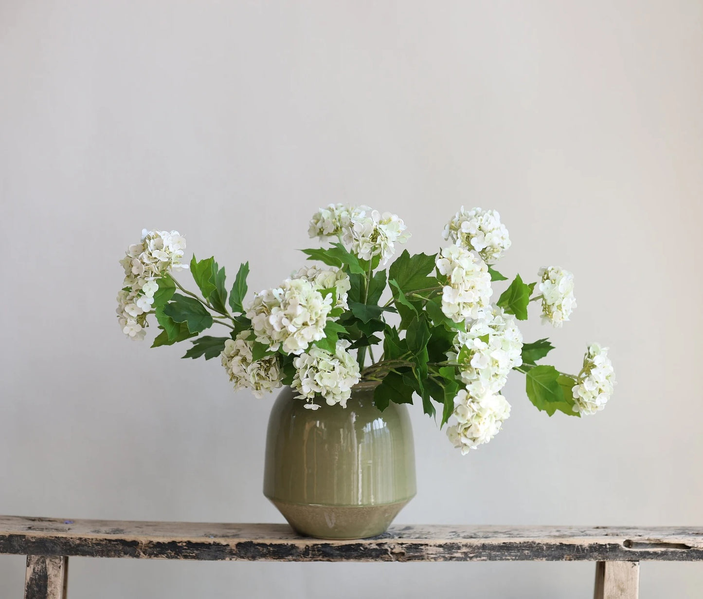 White Snowball Bush Viburnum Stem